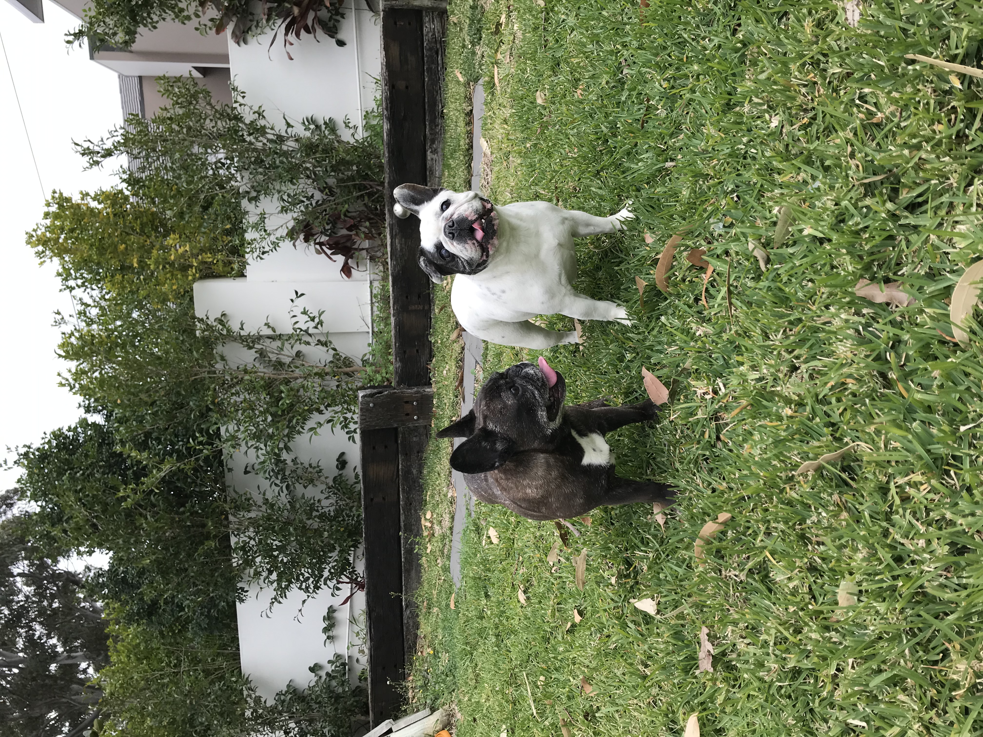 image-10
