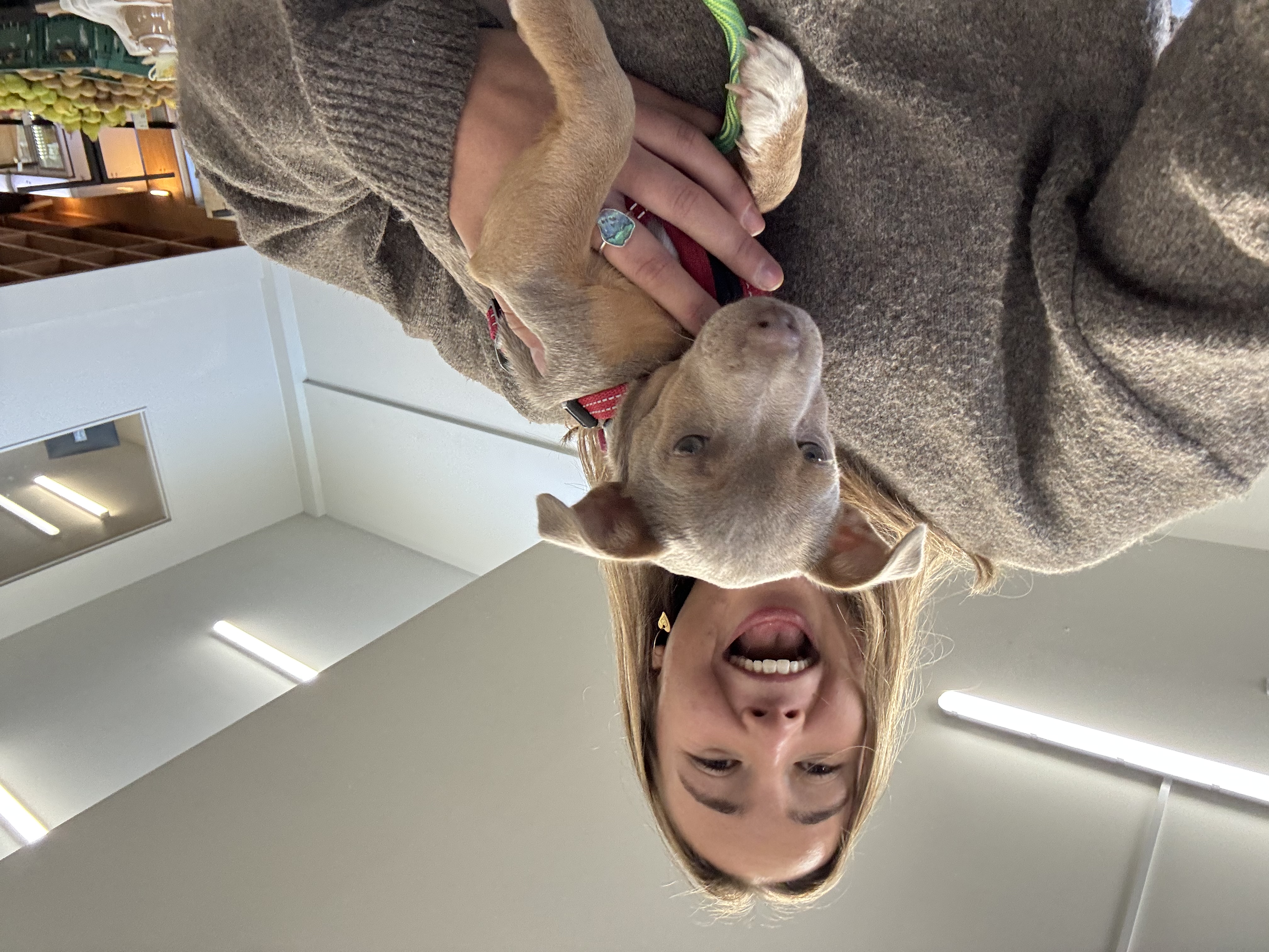 image-16