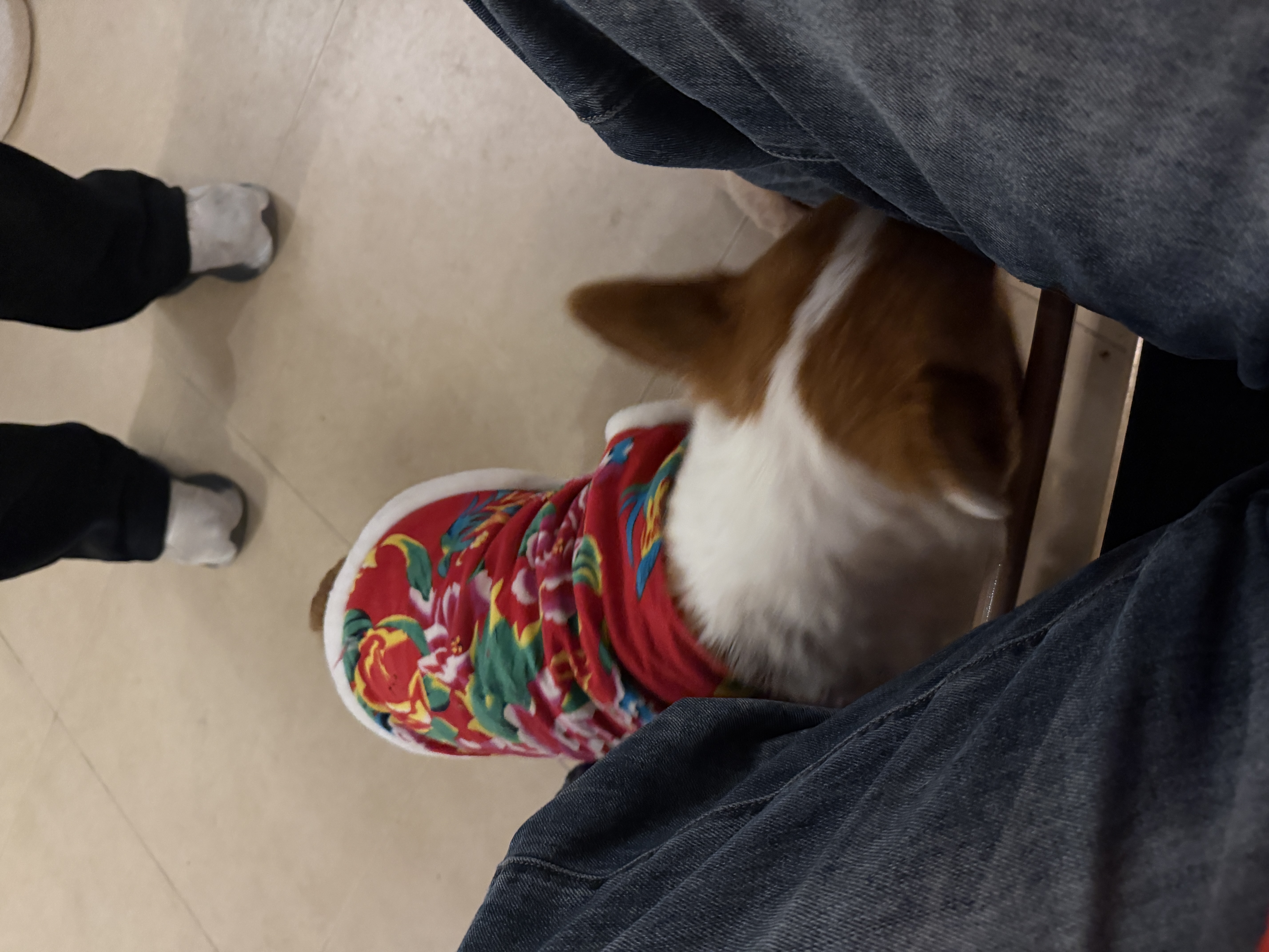 image-14