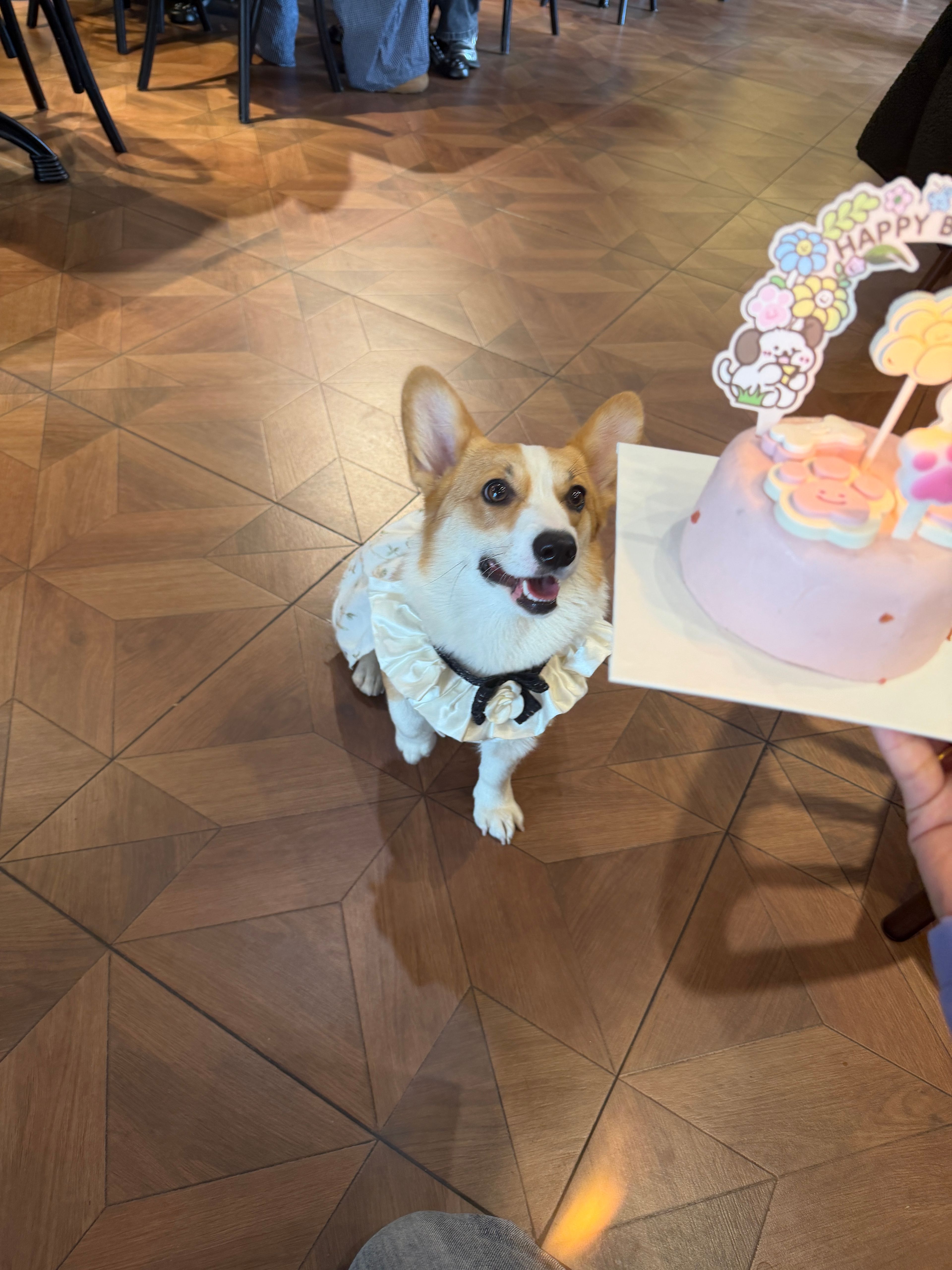 image-4