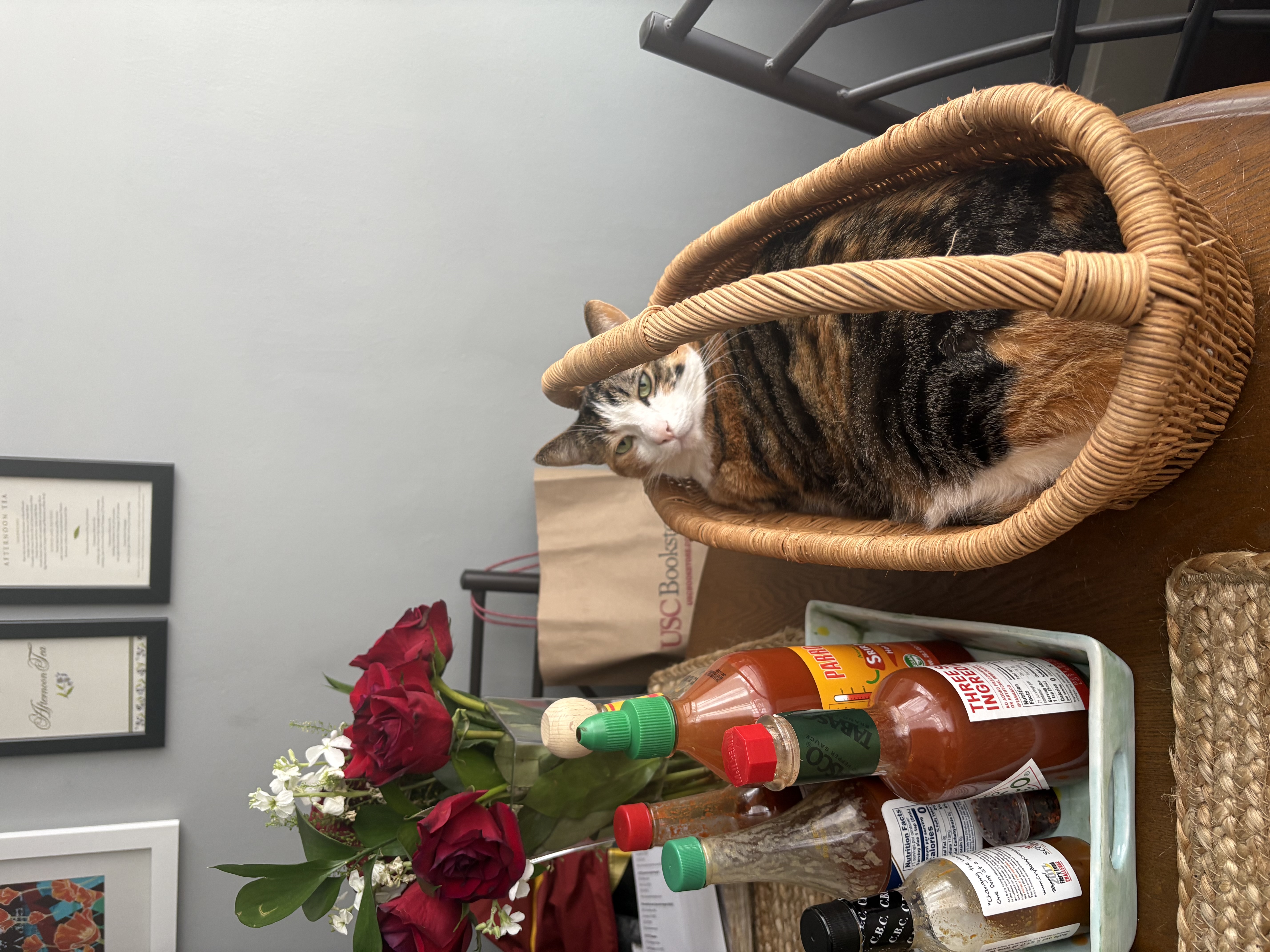 image-8