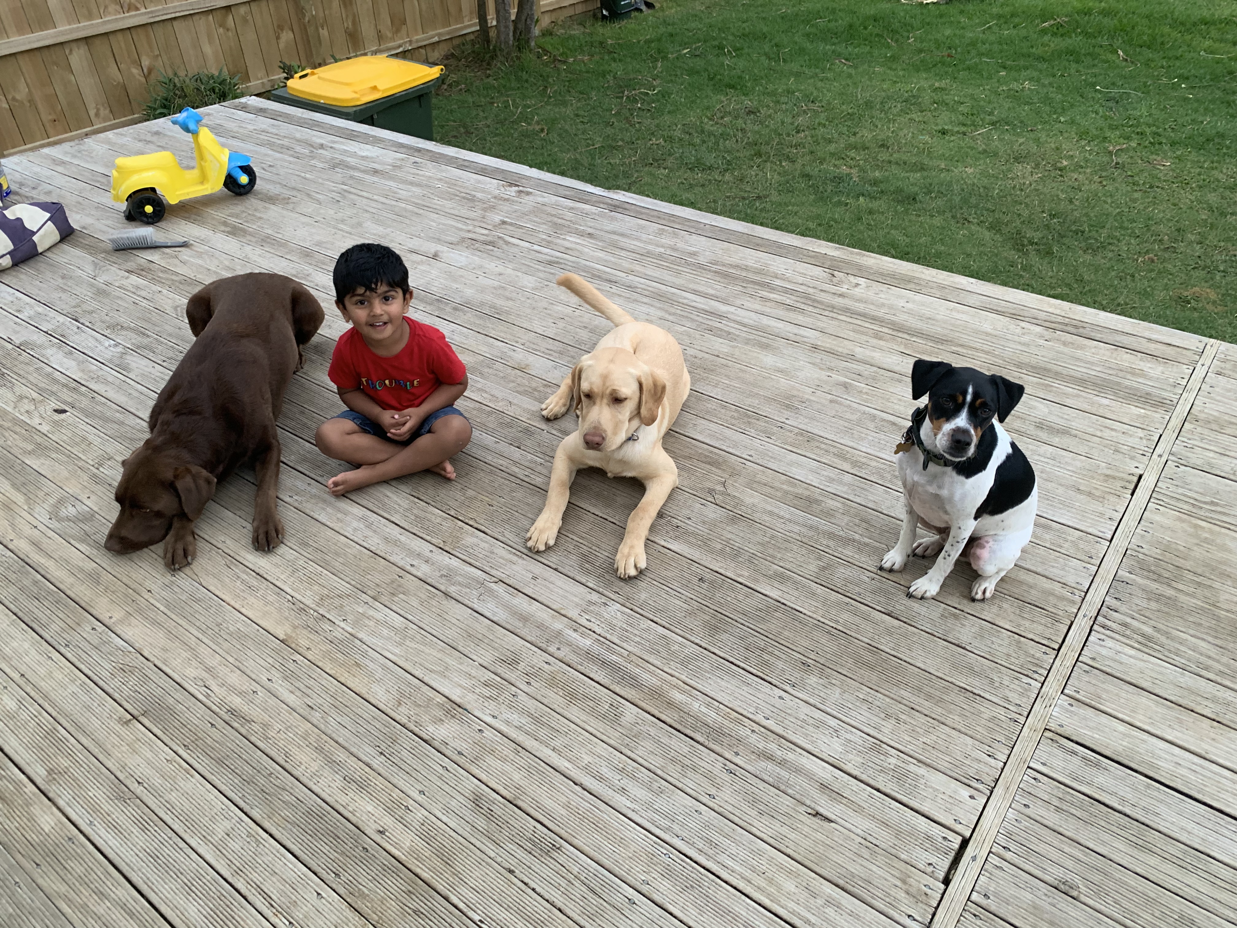 image-27