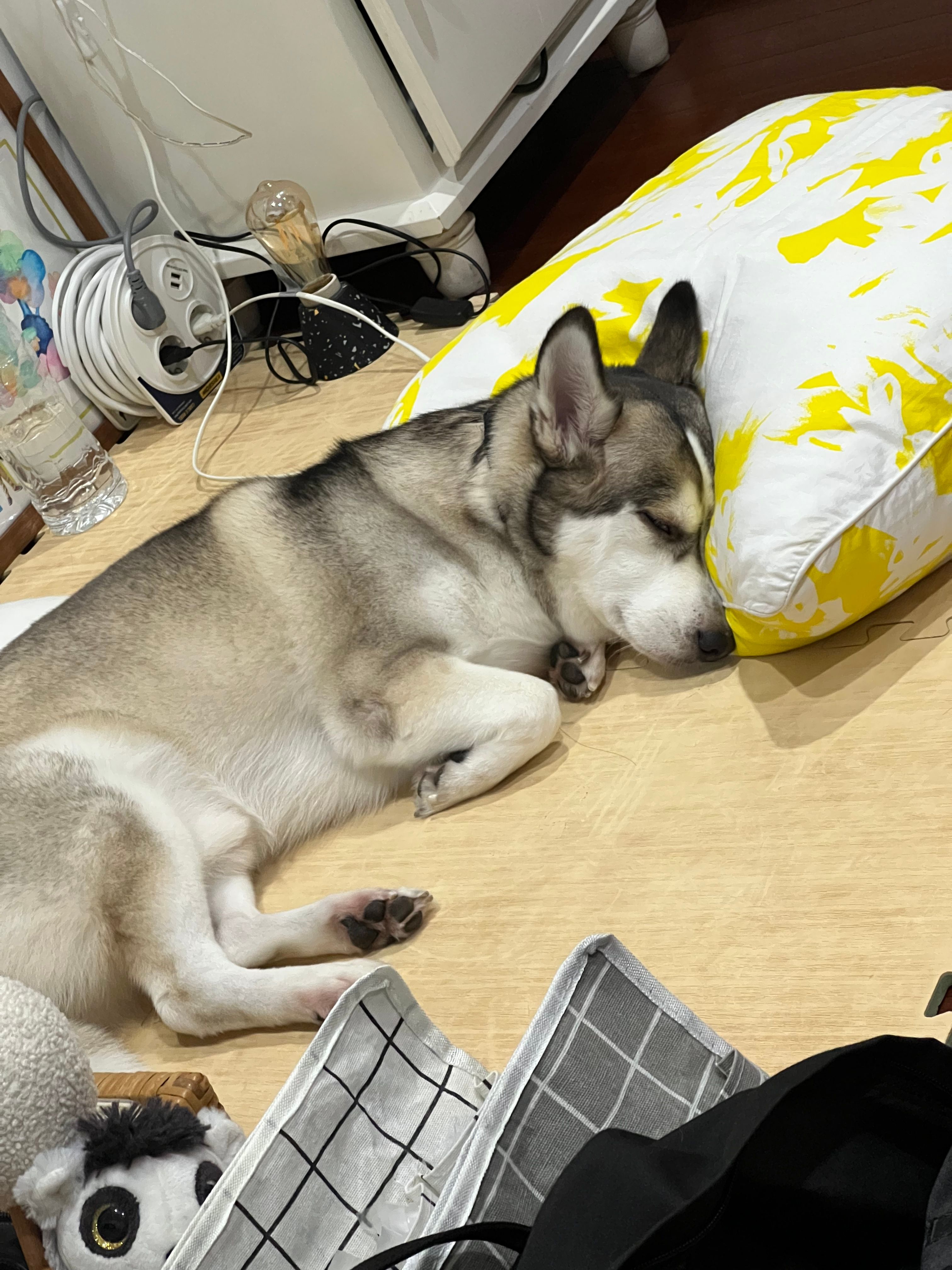 image-7