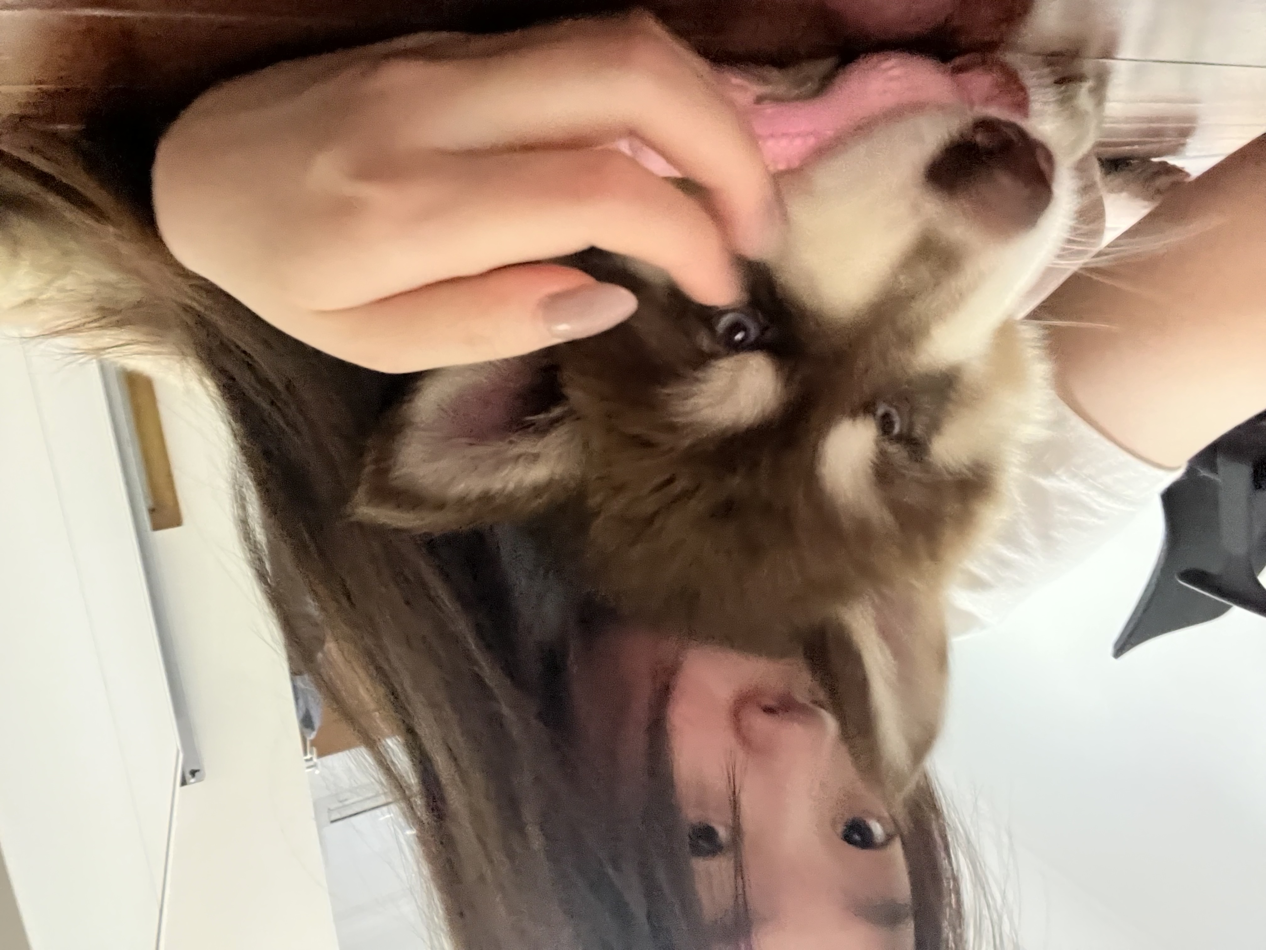 image-4