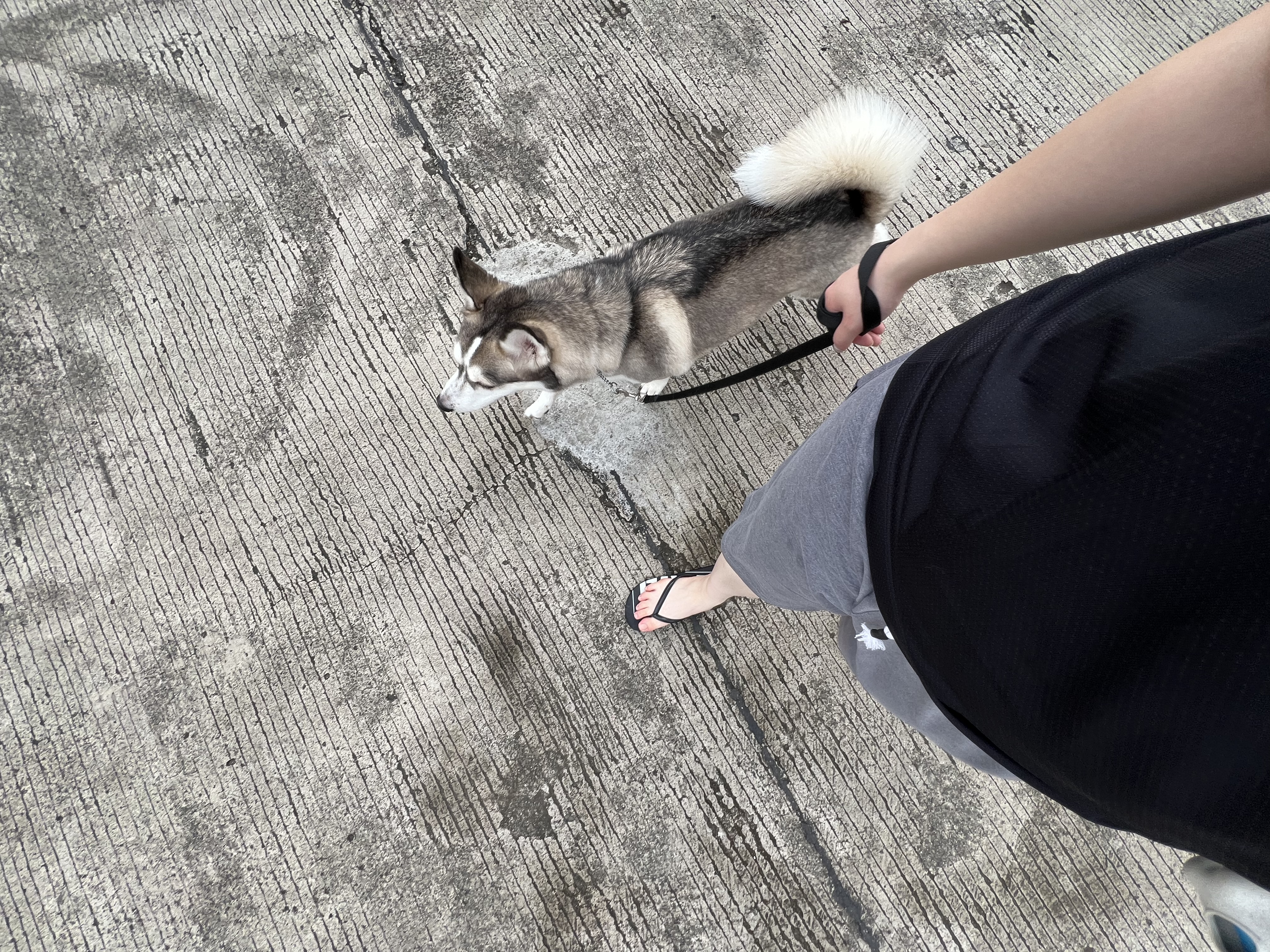 image-8