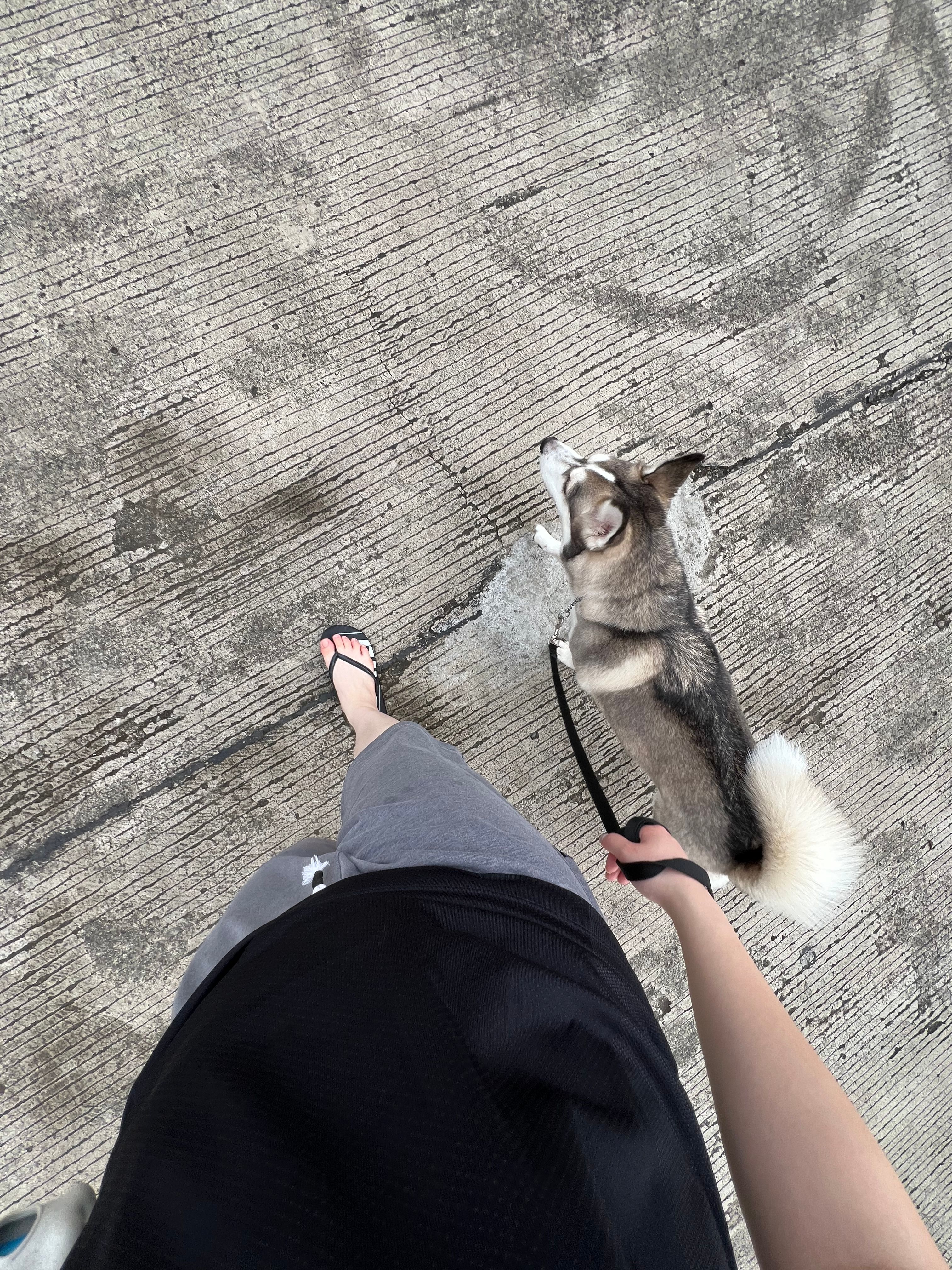 image-8