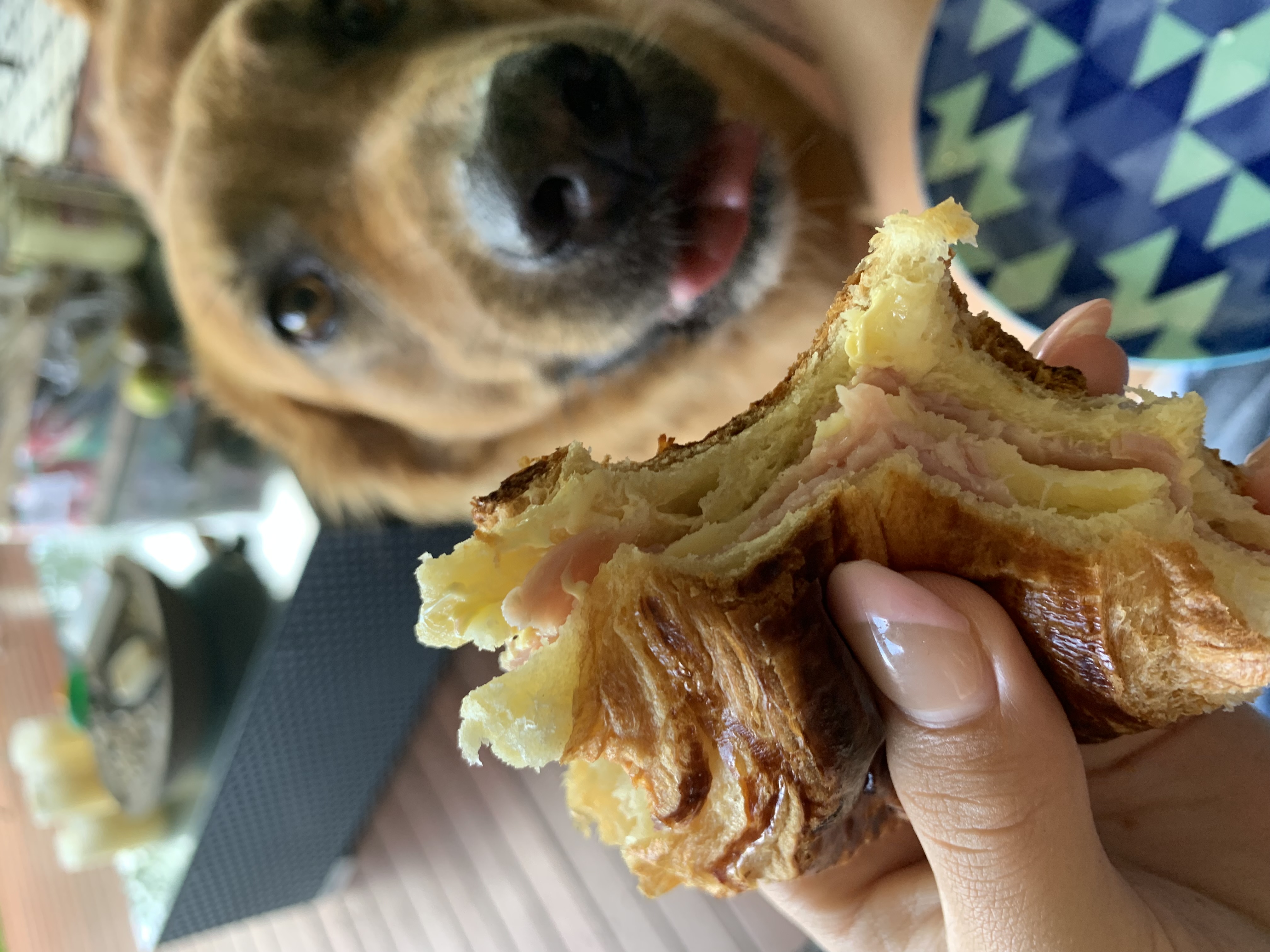 image-0