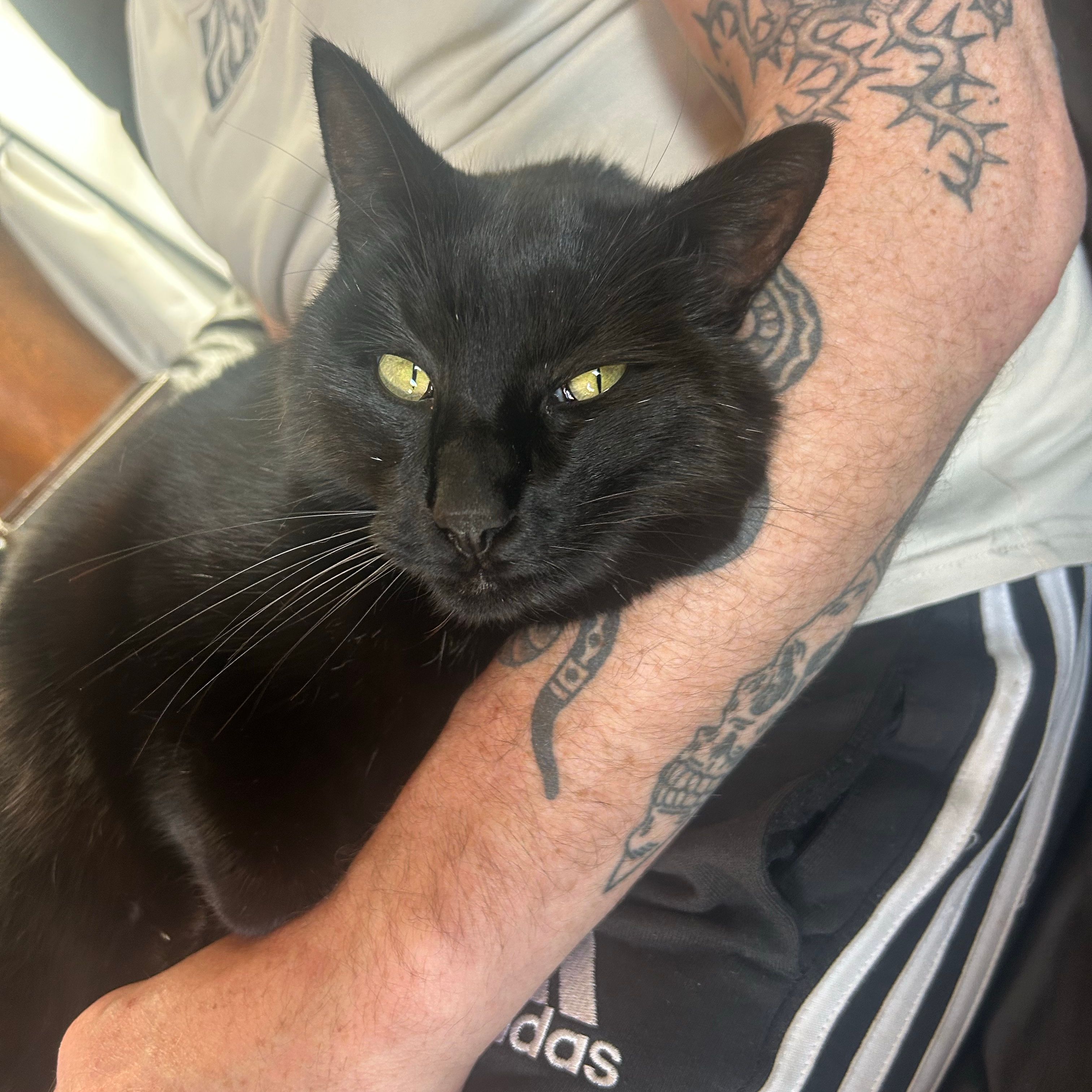 Jax