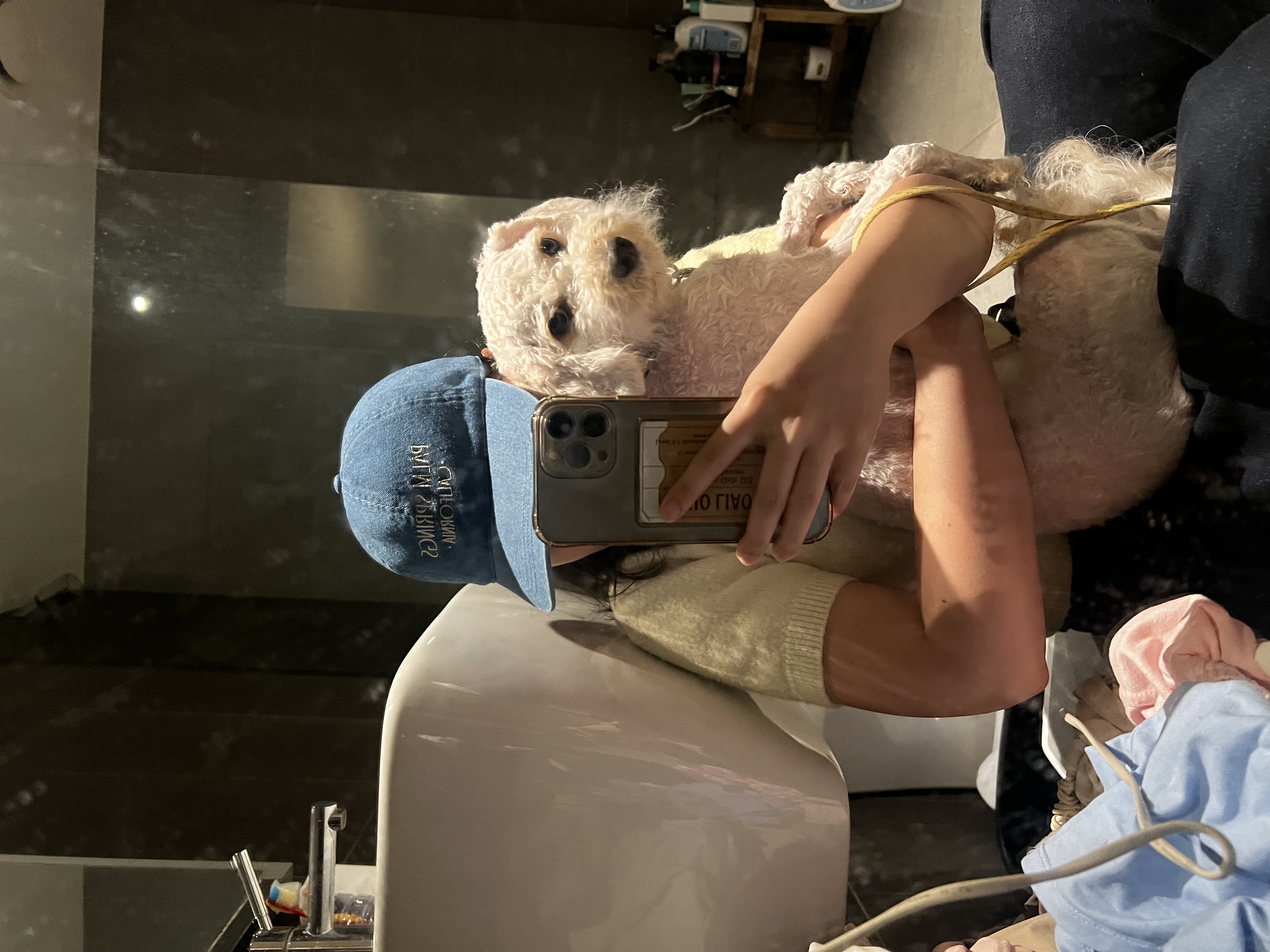 image-12