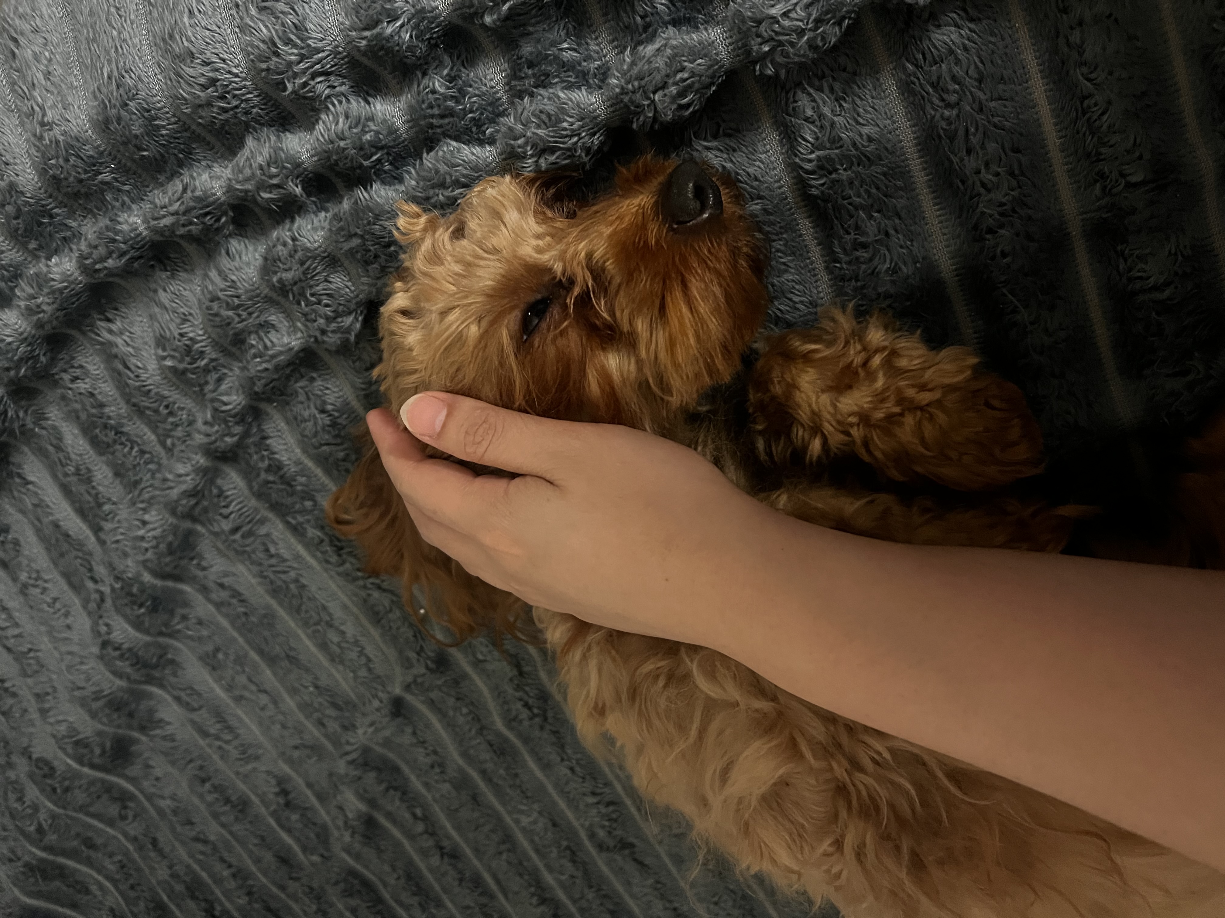 image-8