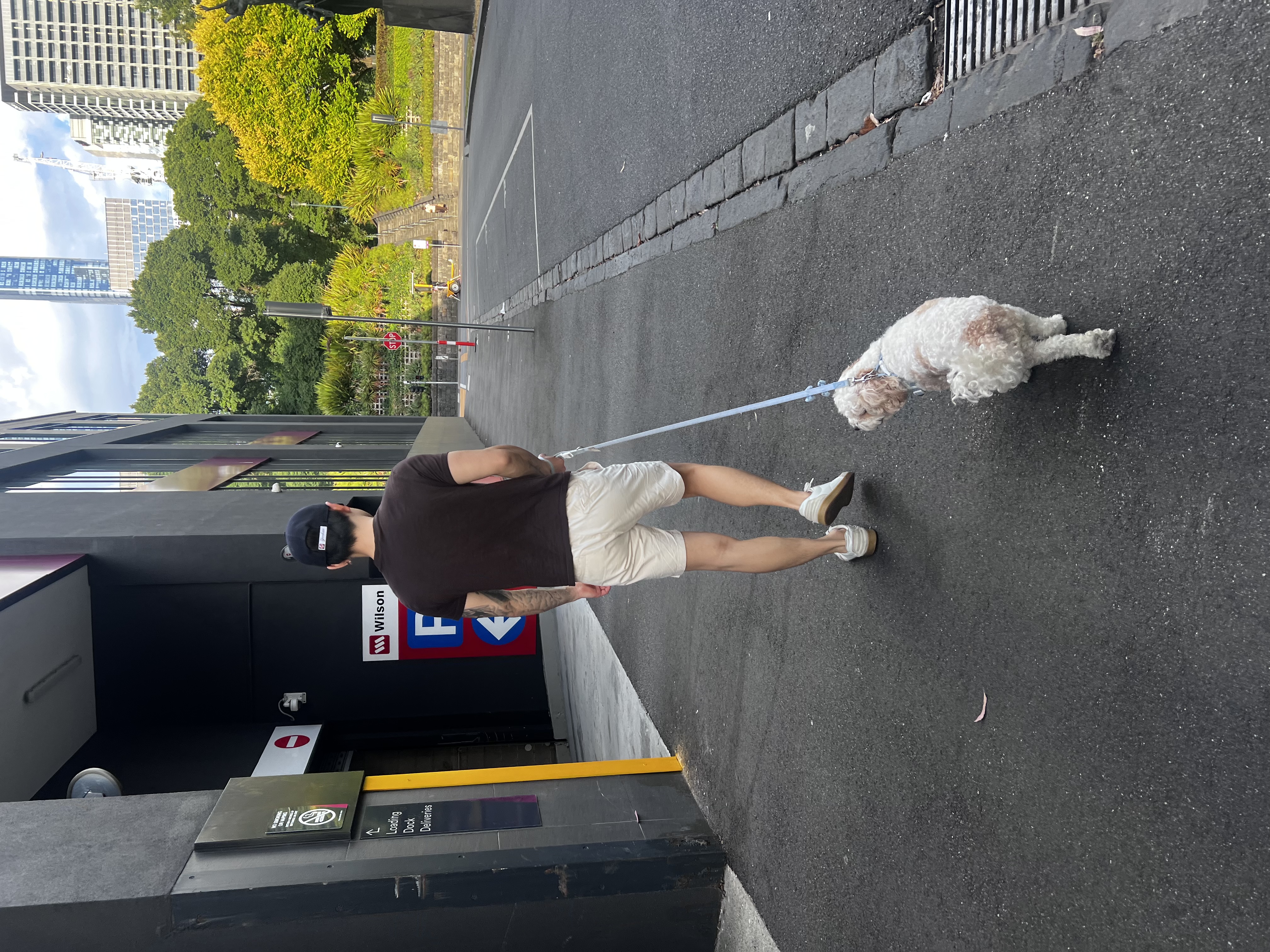 image-5