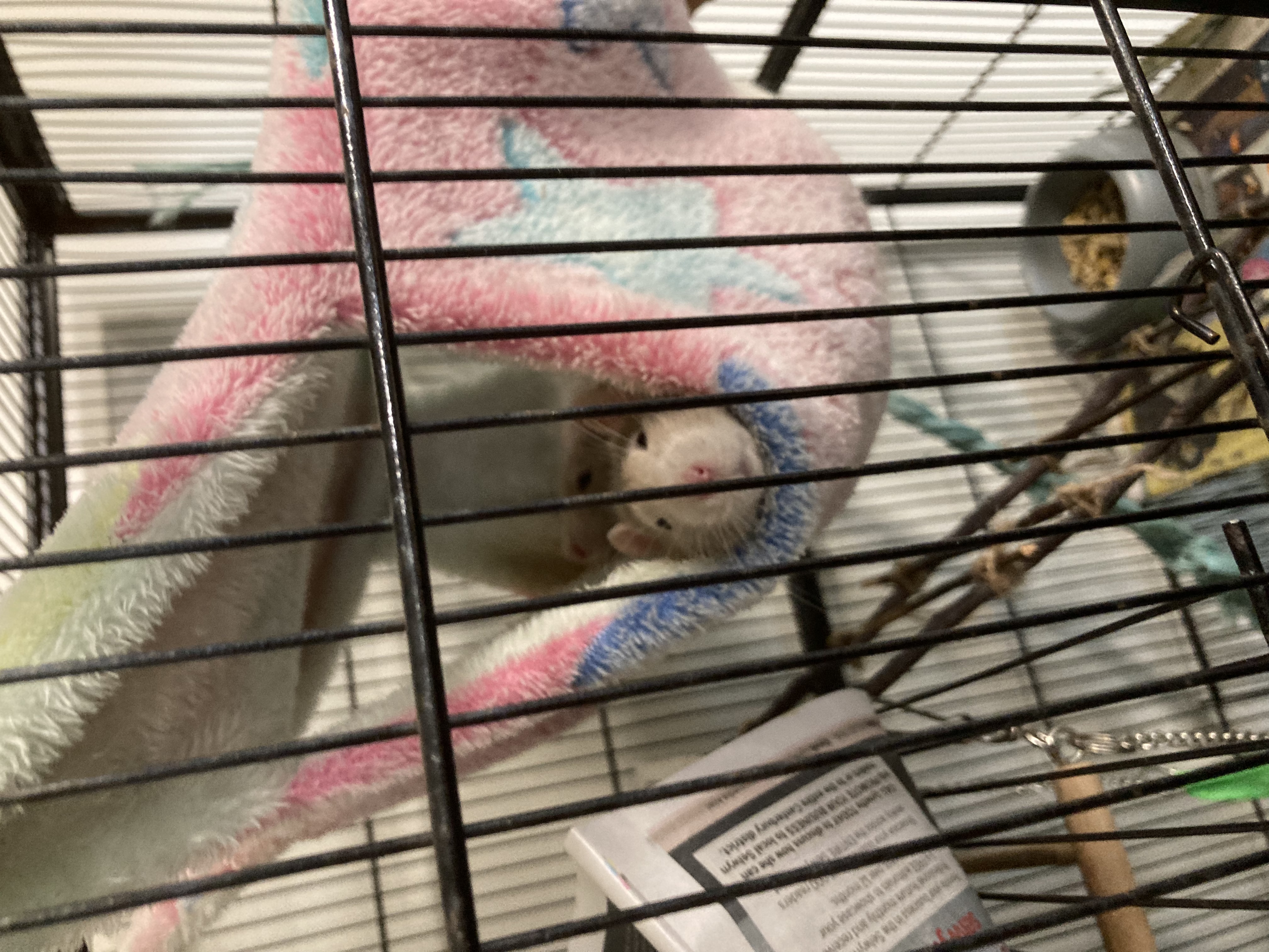 image-5