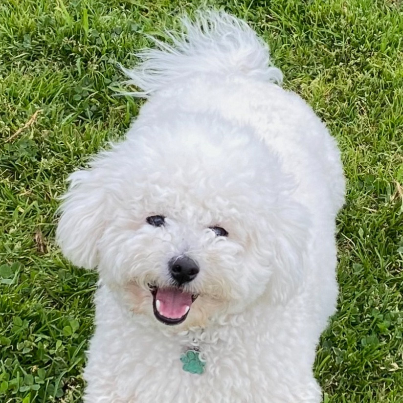 Luca