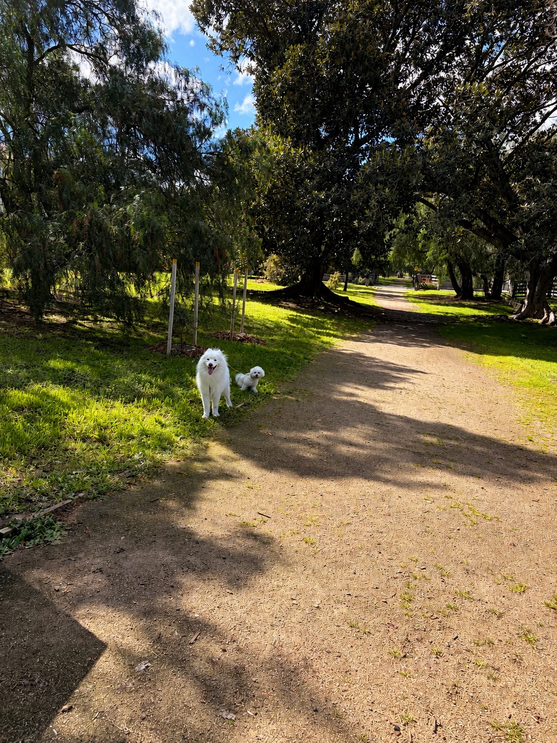 image-14