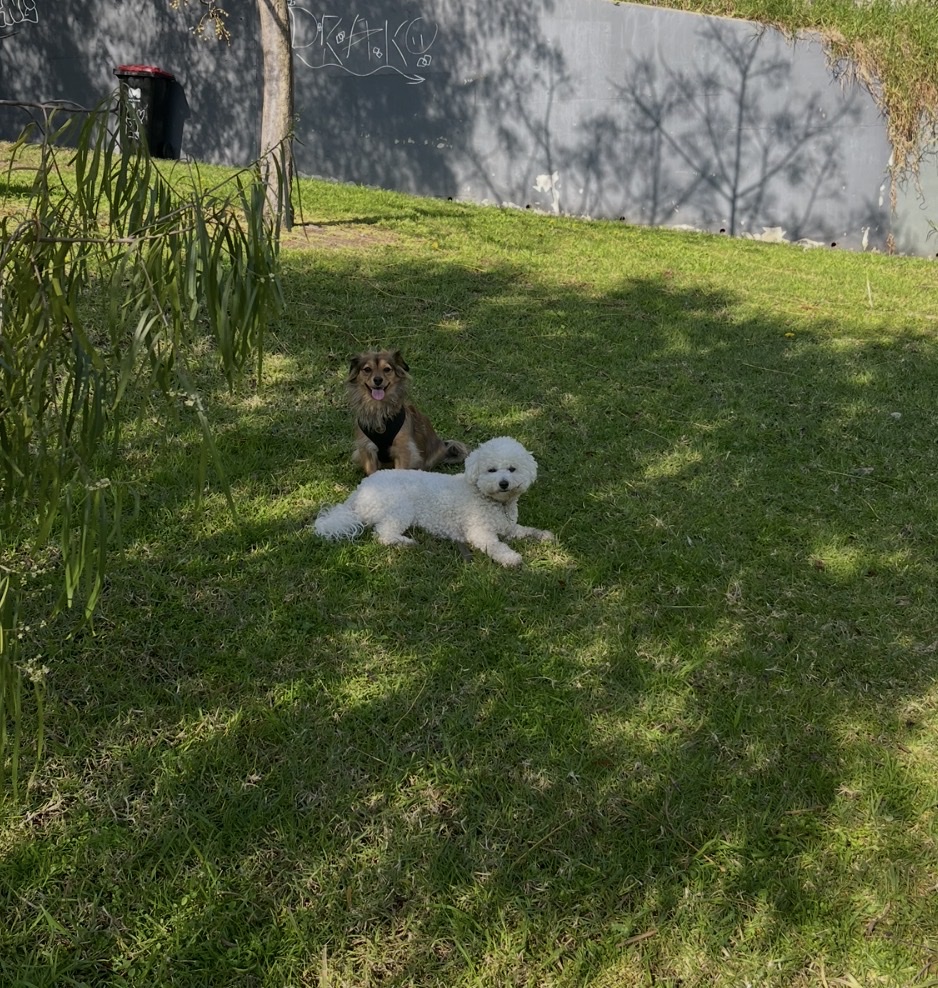 image-9