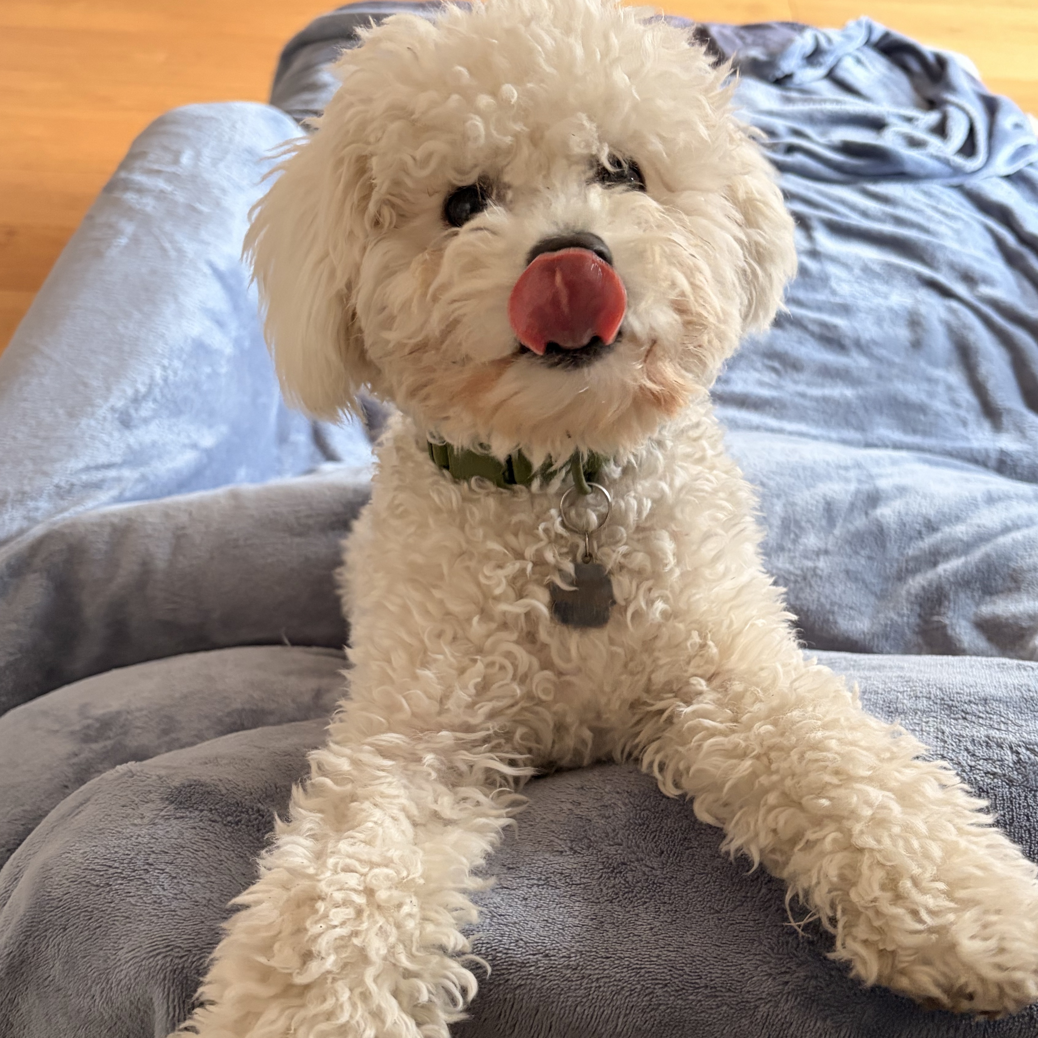 Meeko