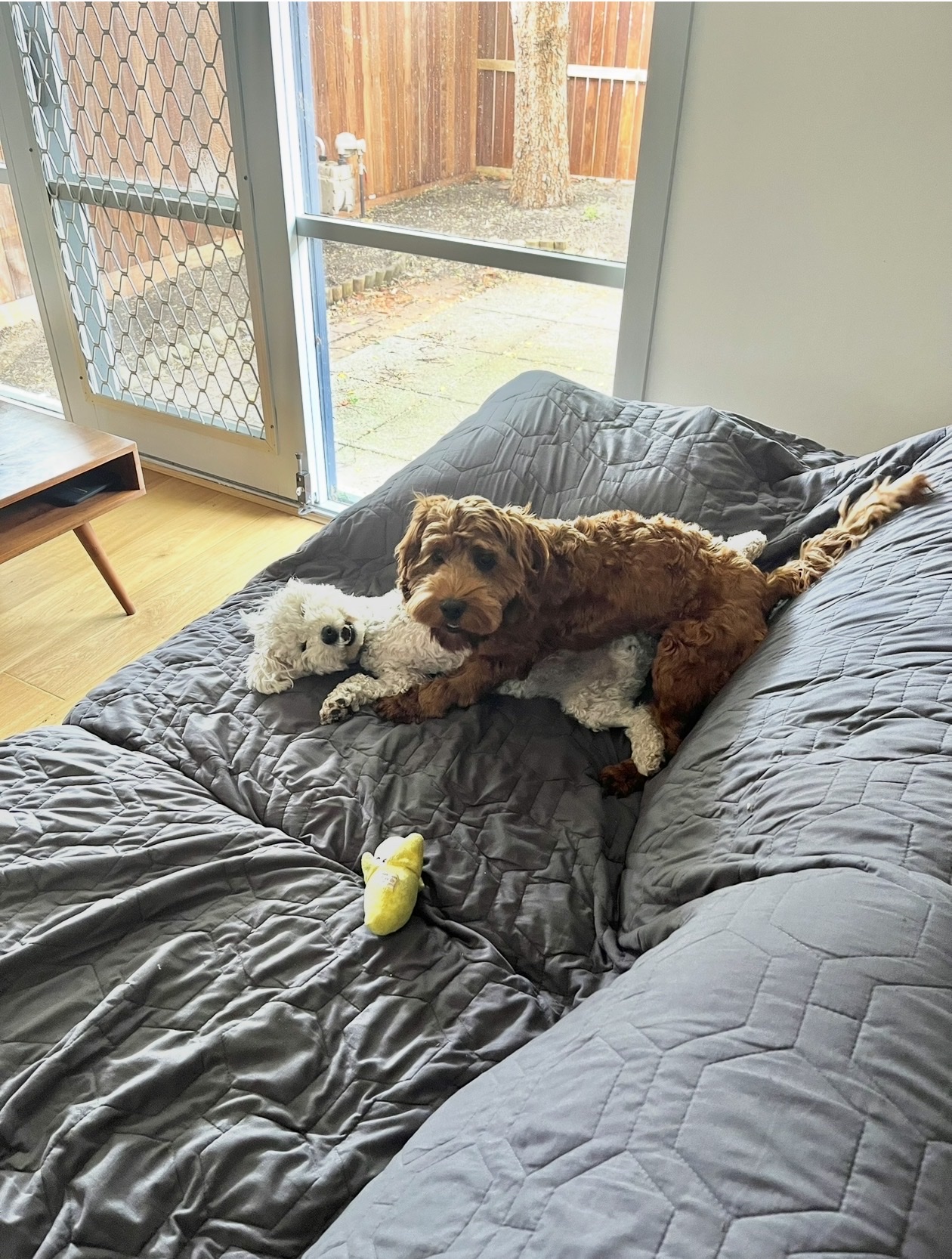 image-6
