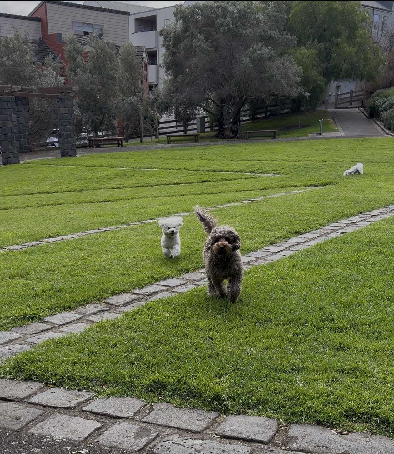 image-18
