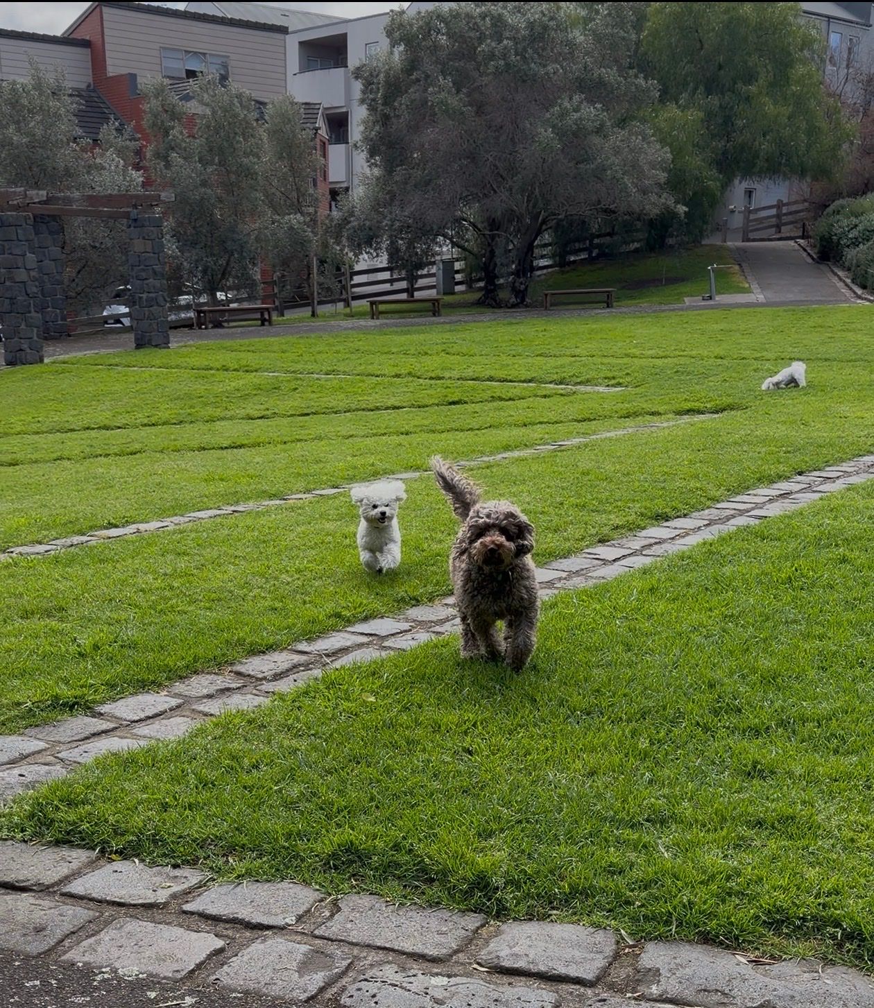 image-18