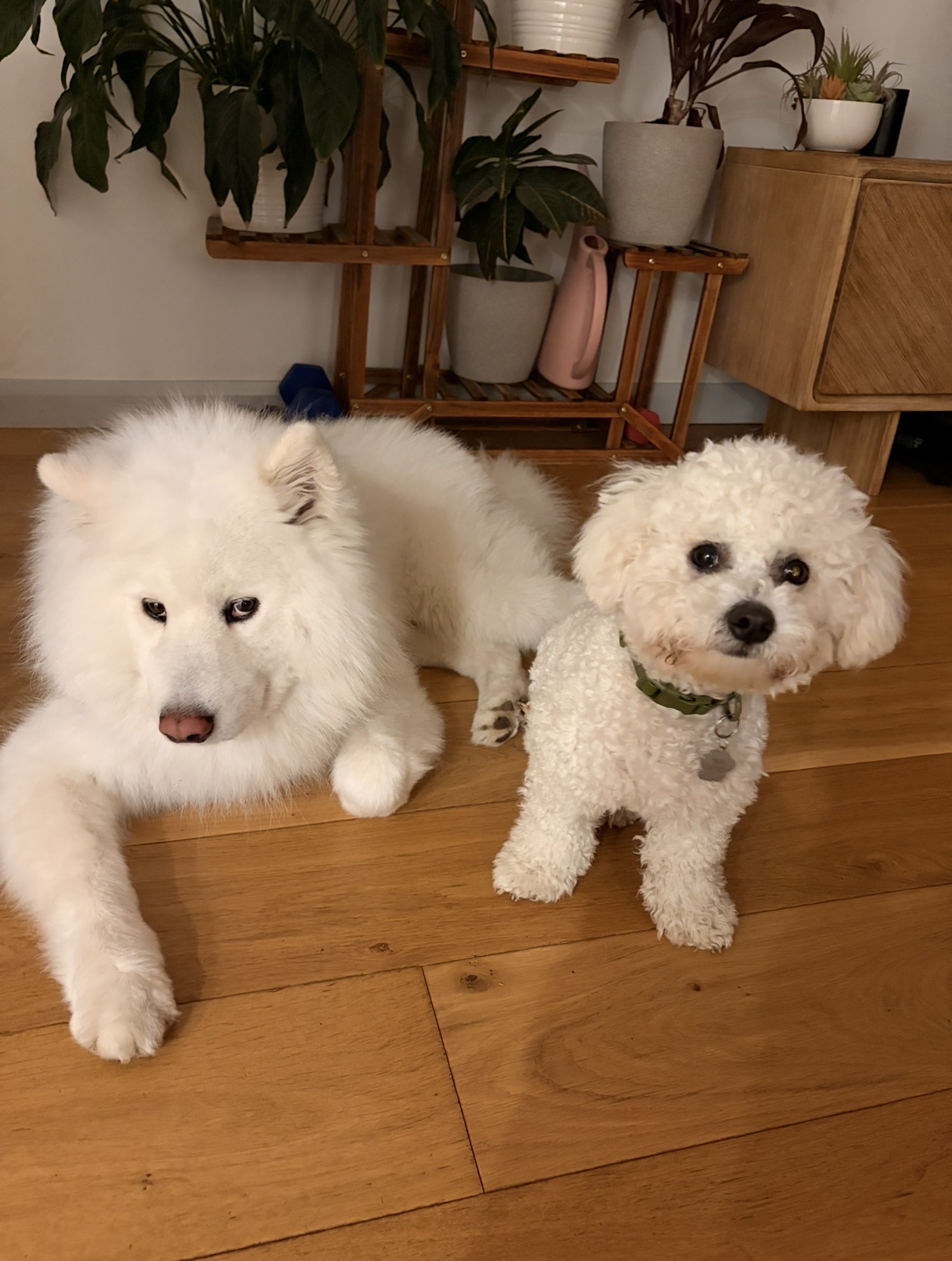image-26