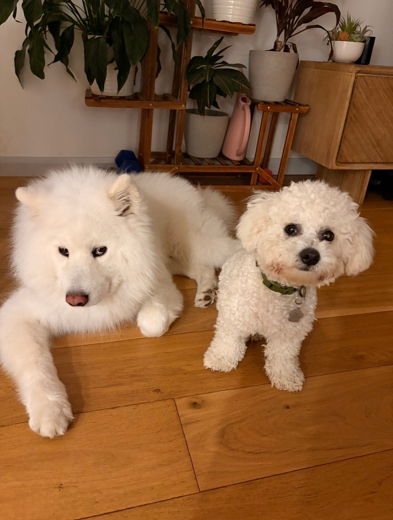 image-26
