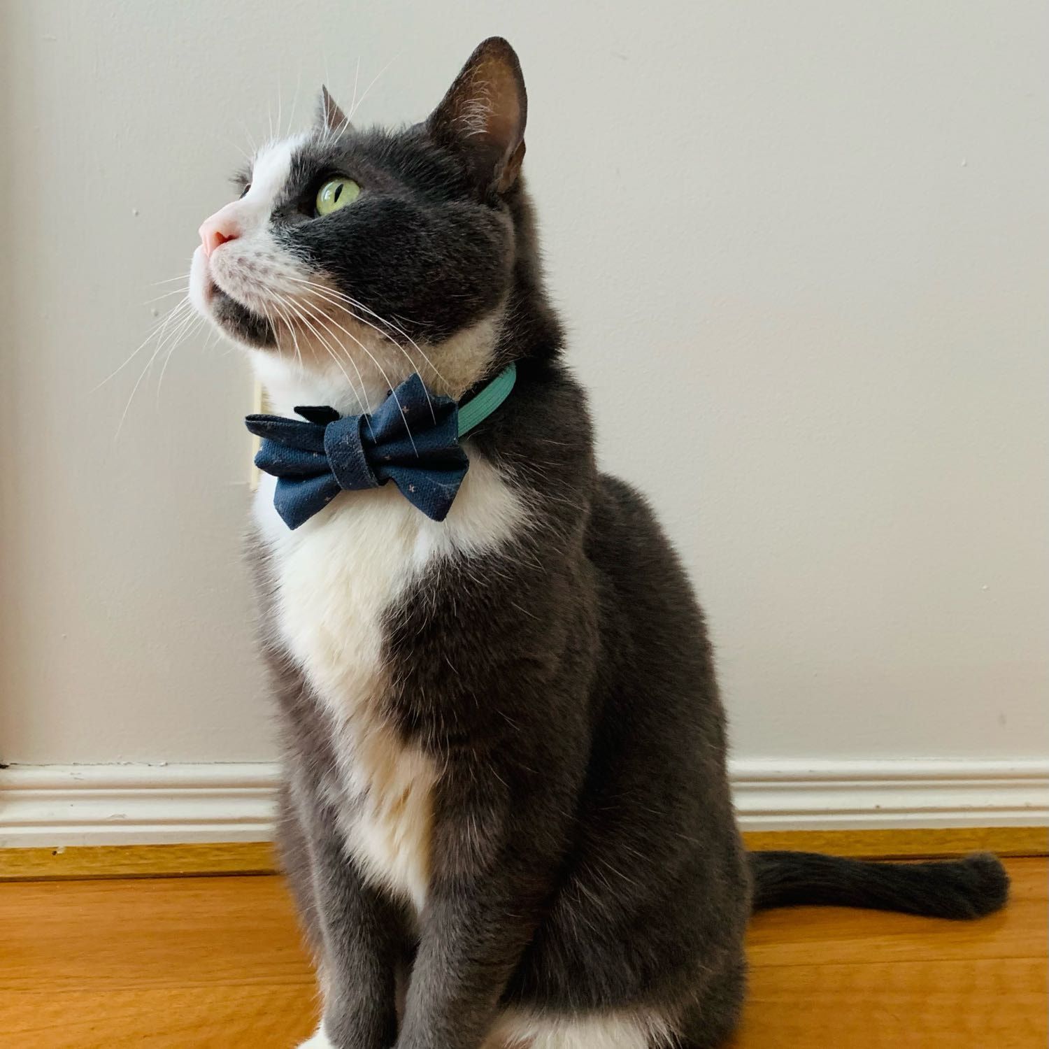 Pablo