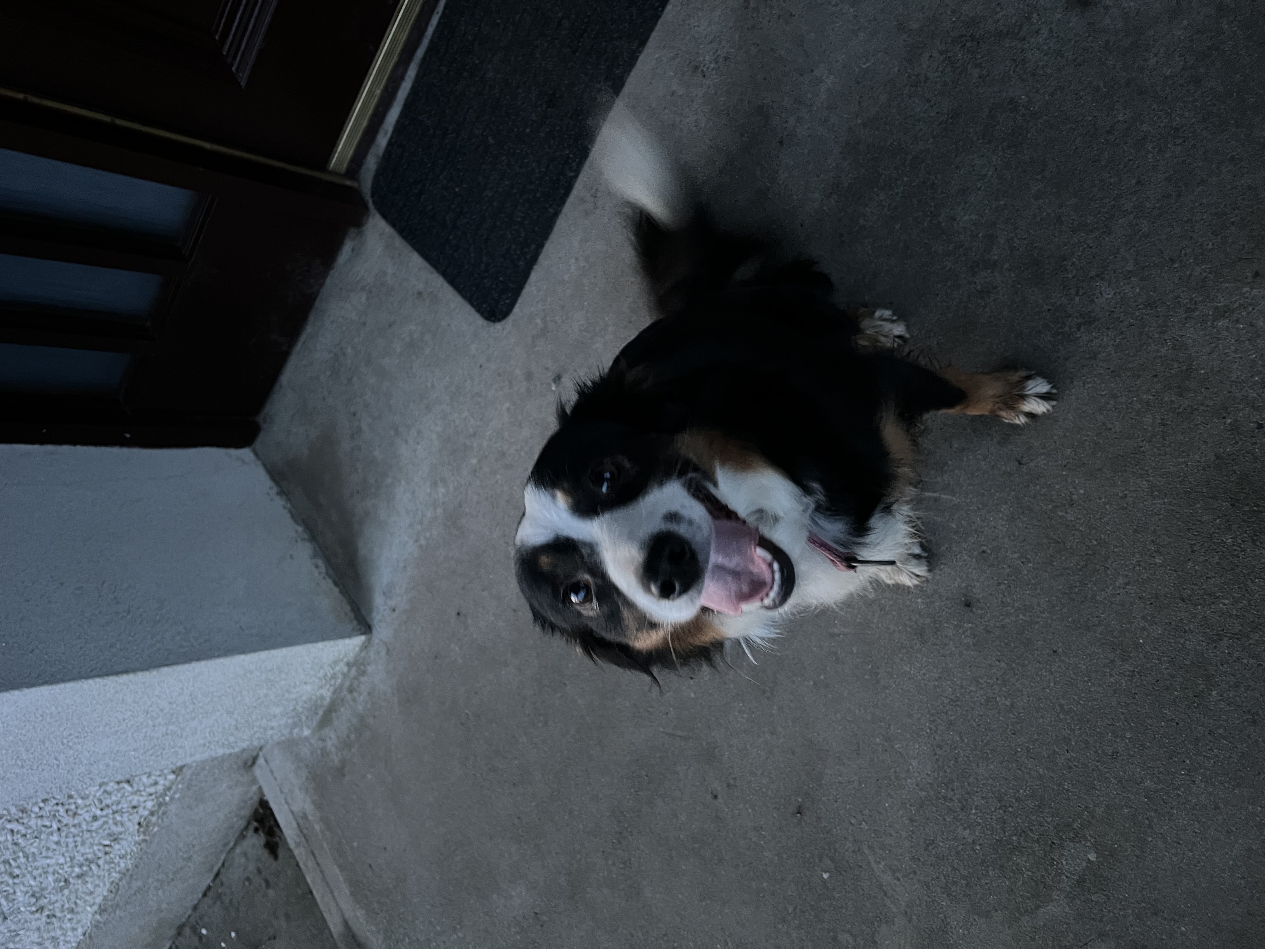 image-3