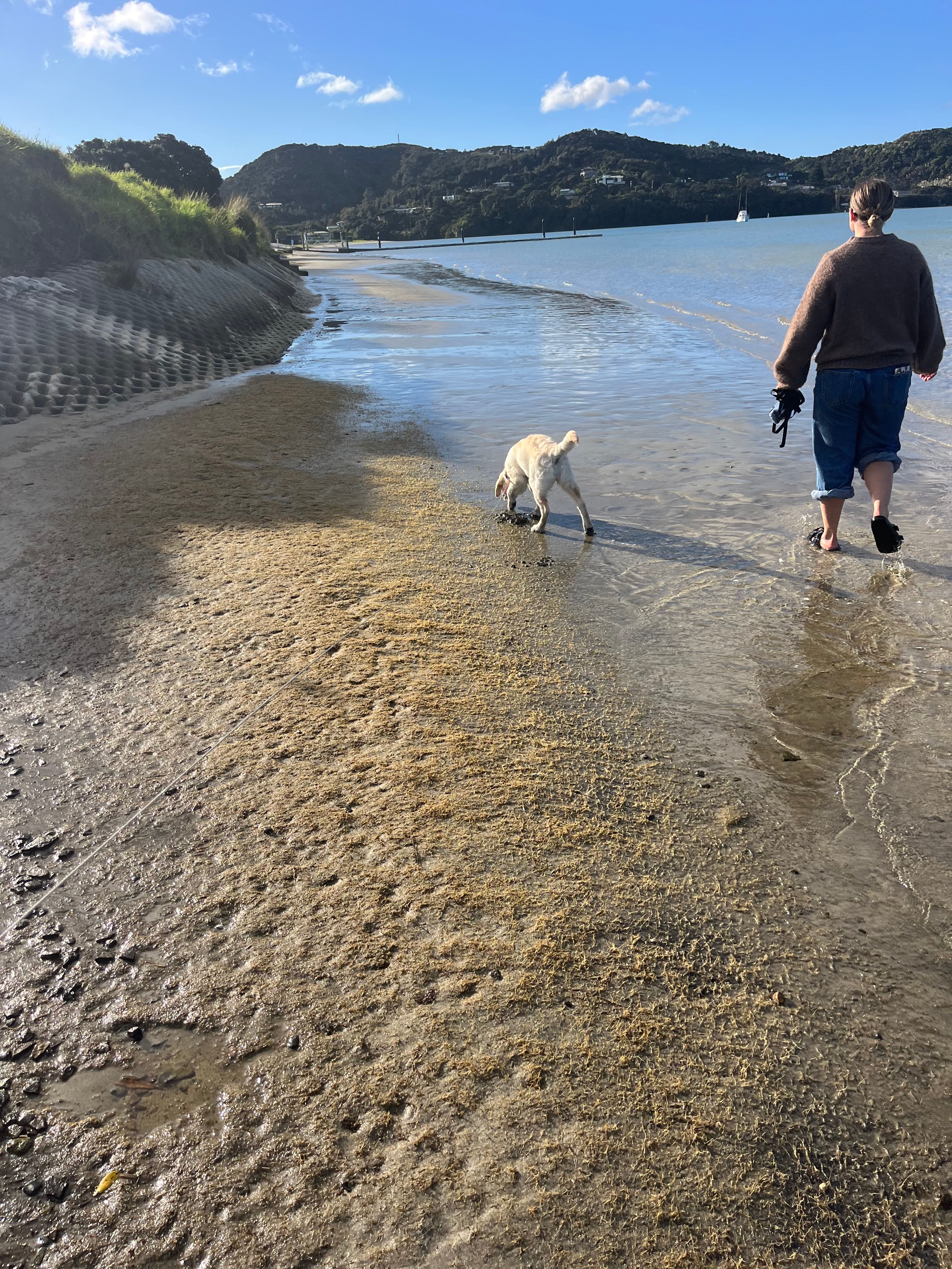 image-4