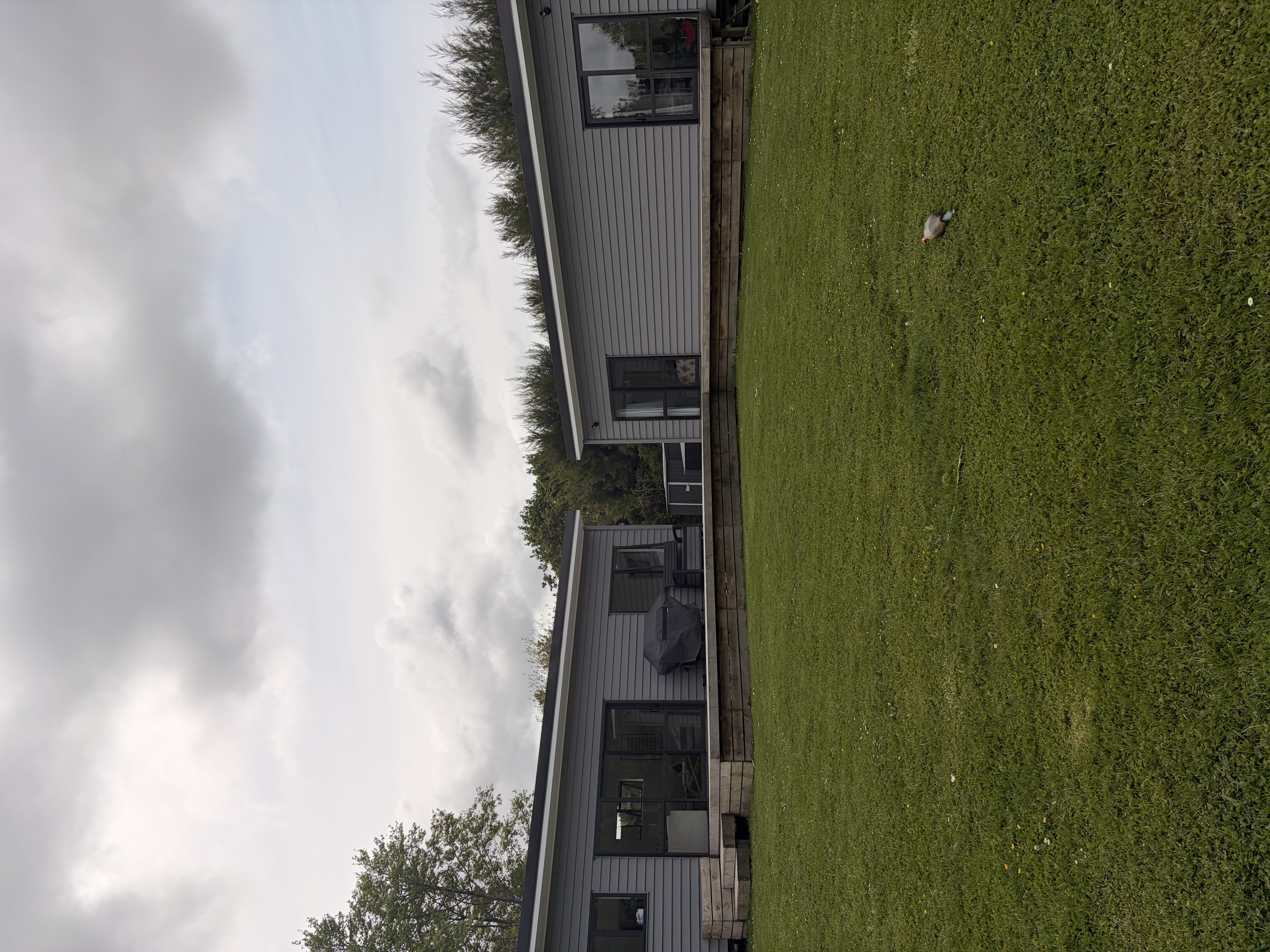image-18