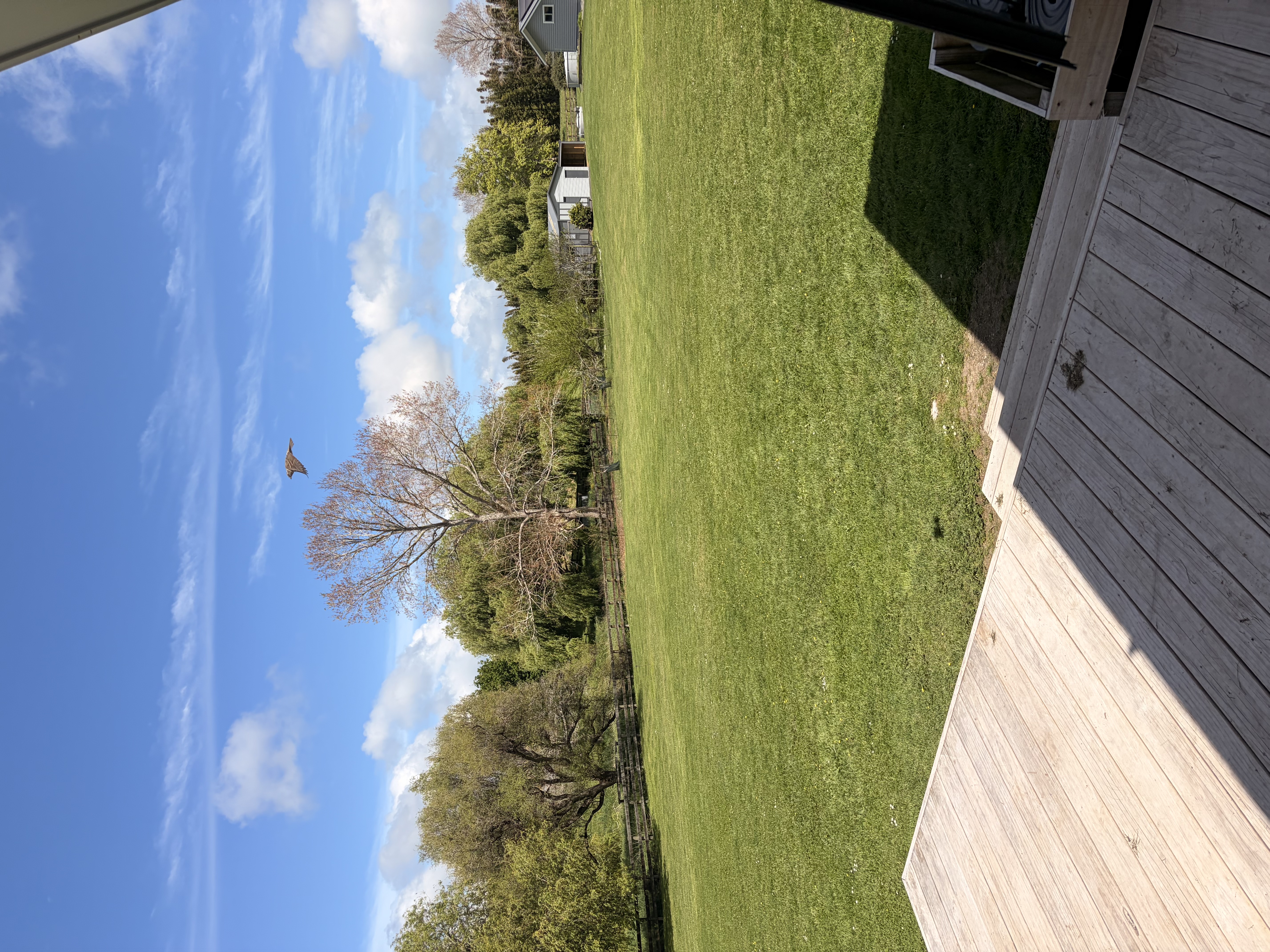 image-14