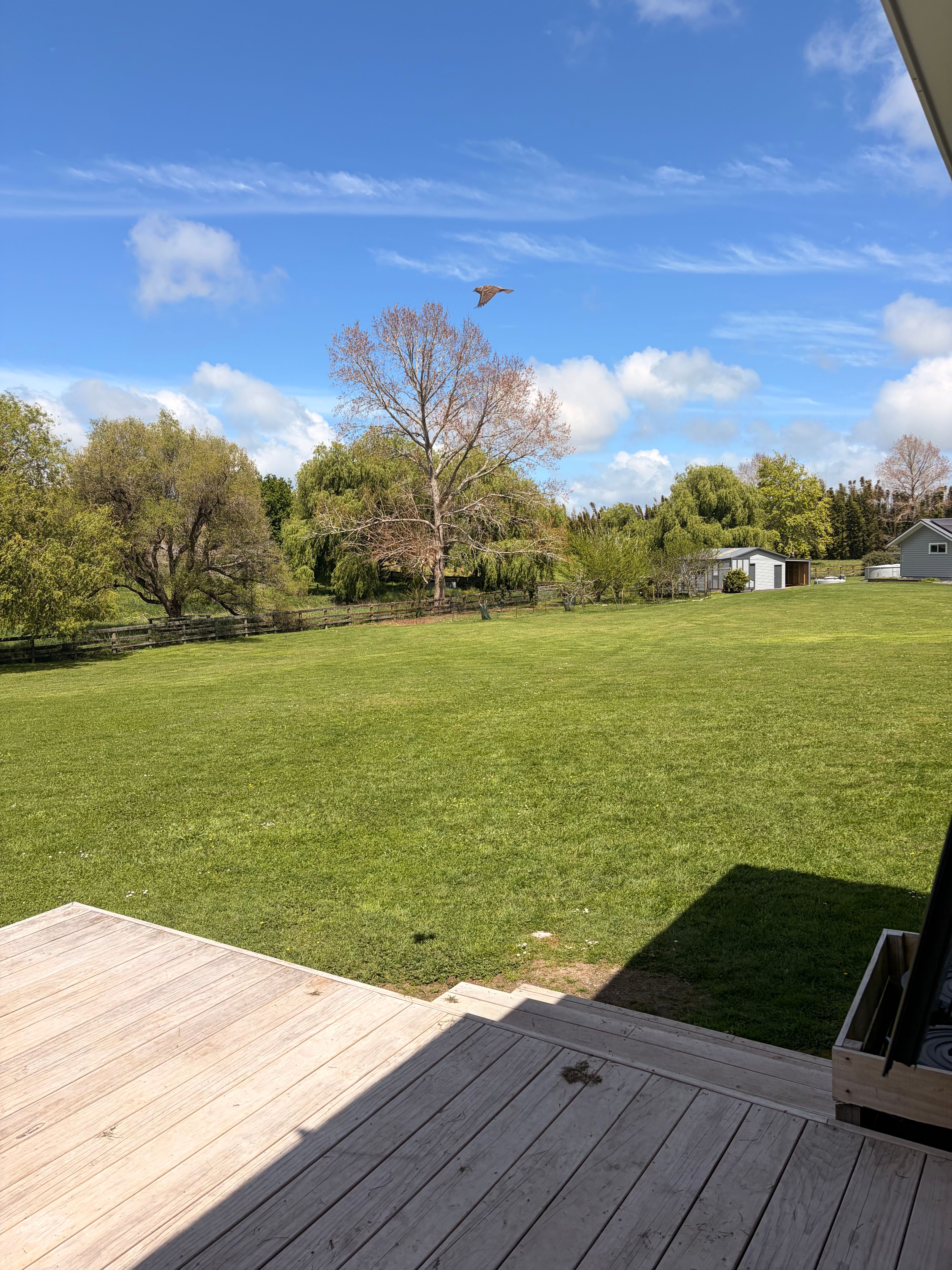 image-14