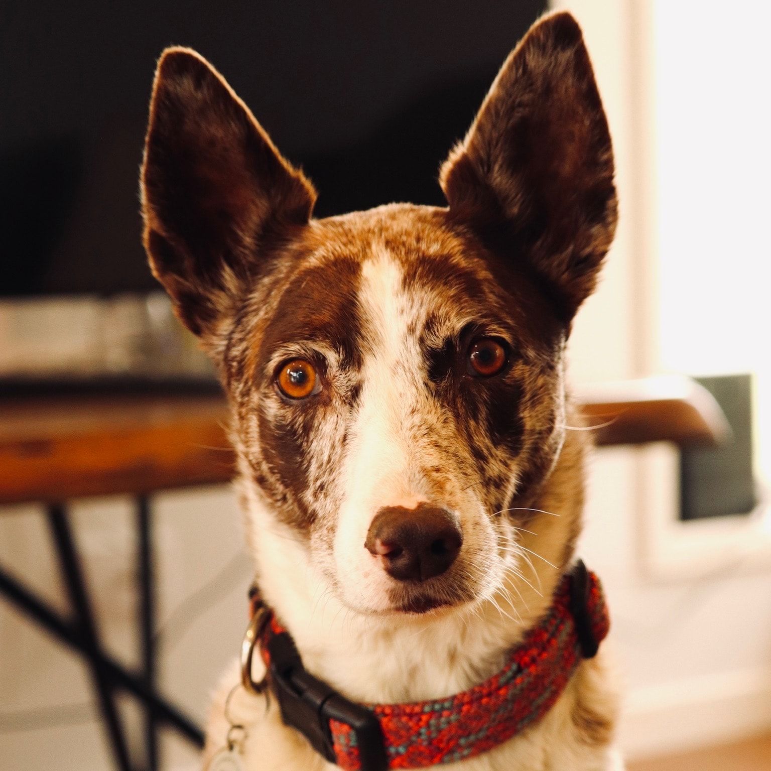 Timber