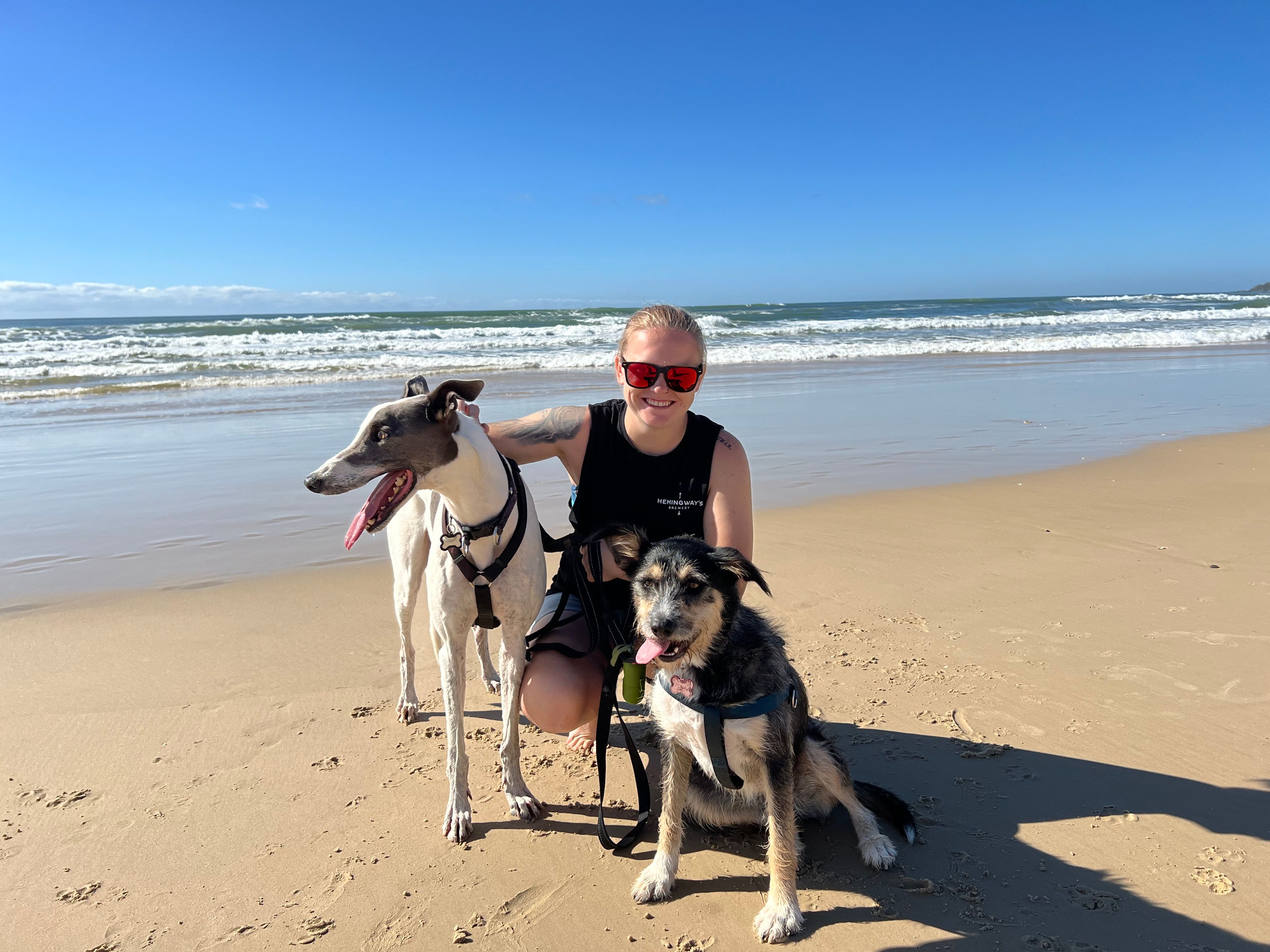 image-16