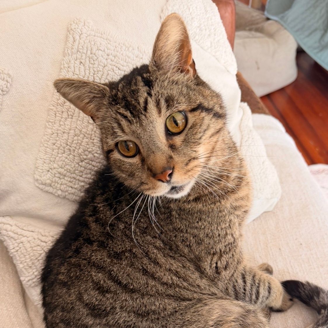Oscar