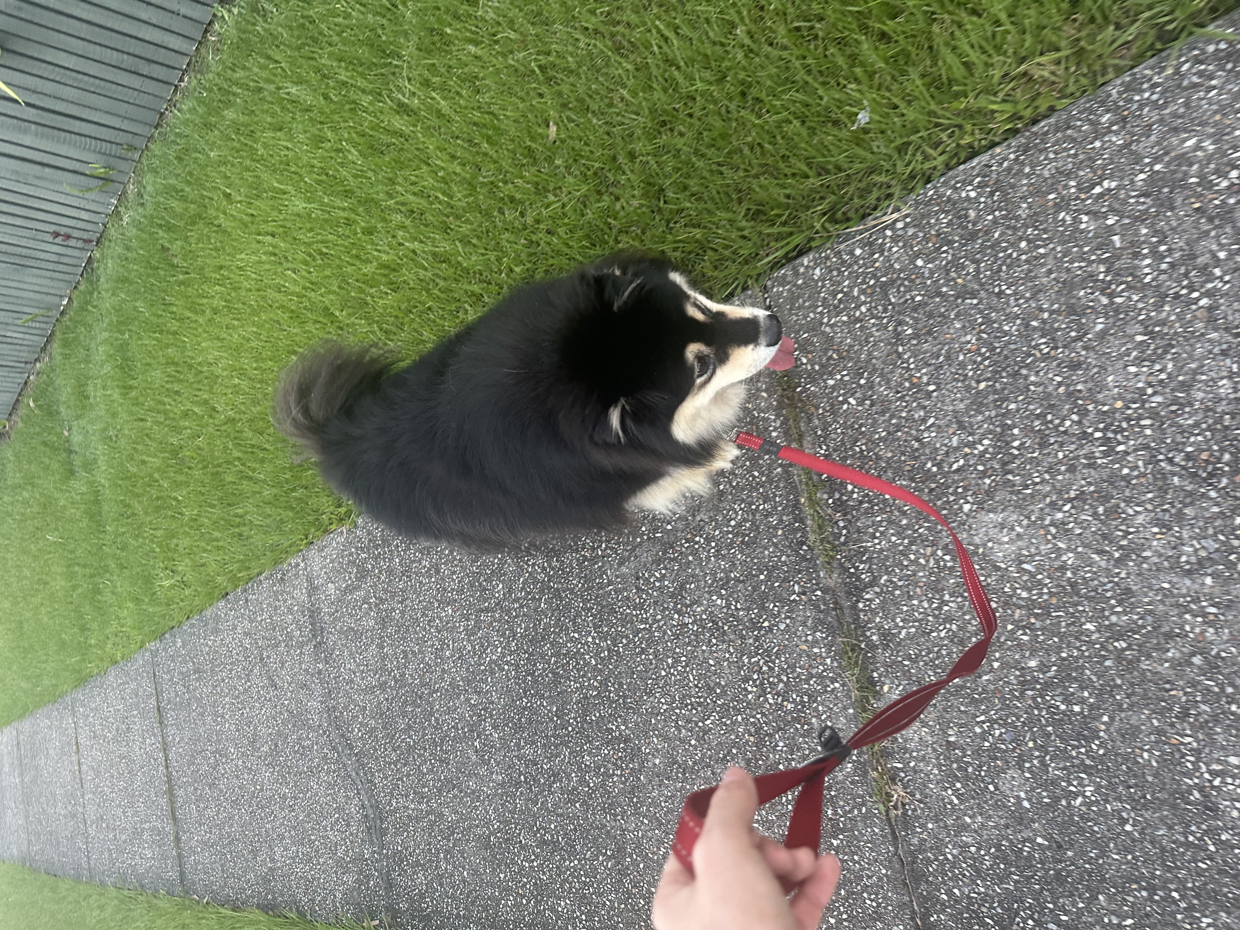 image-7