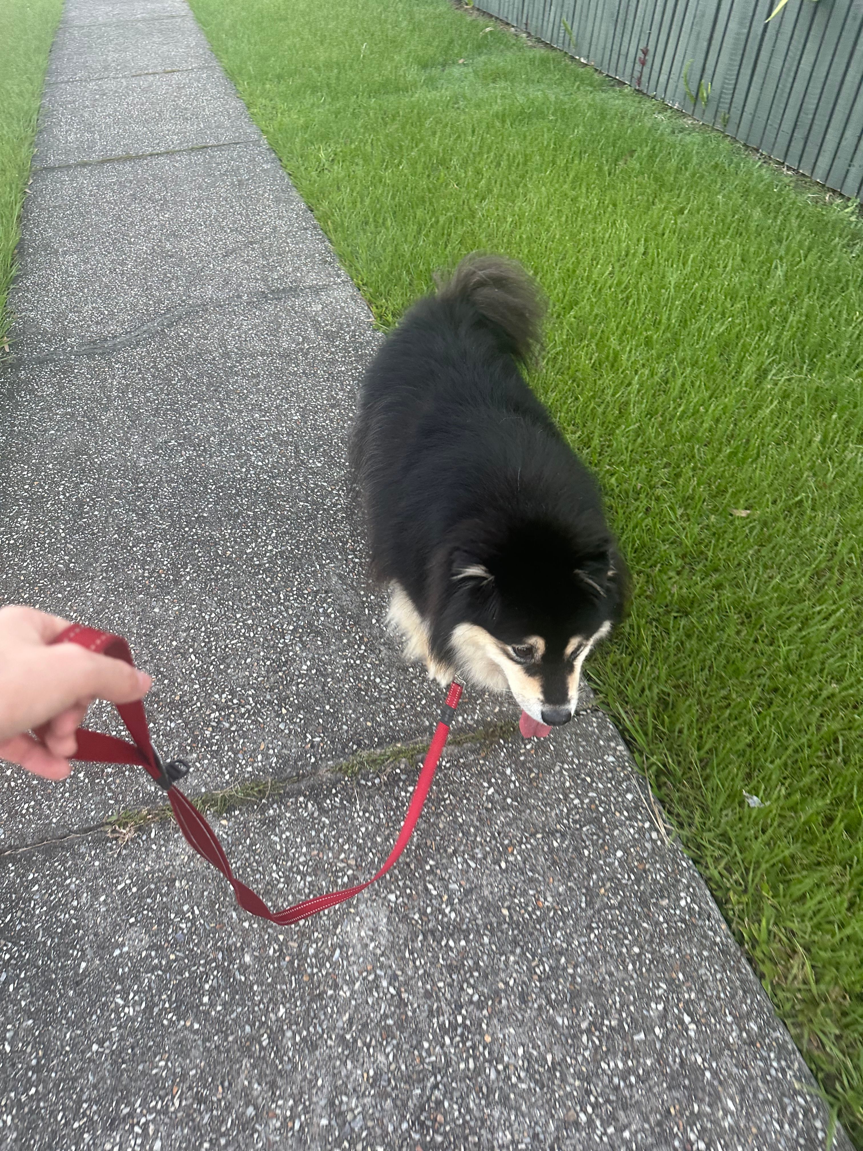 image-7
