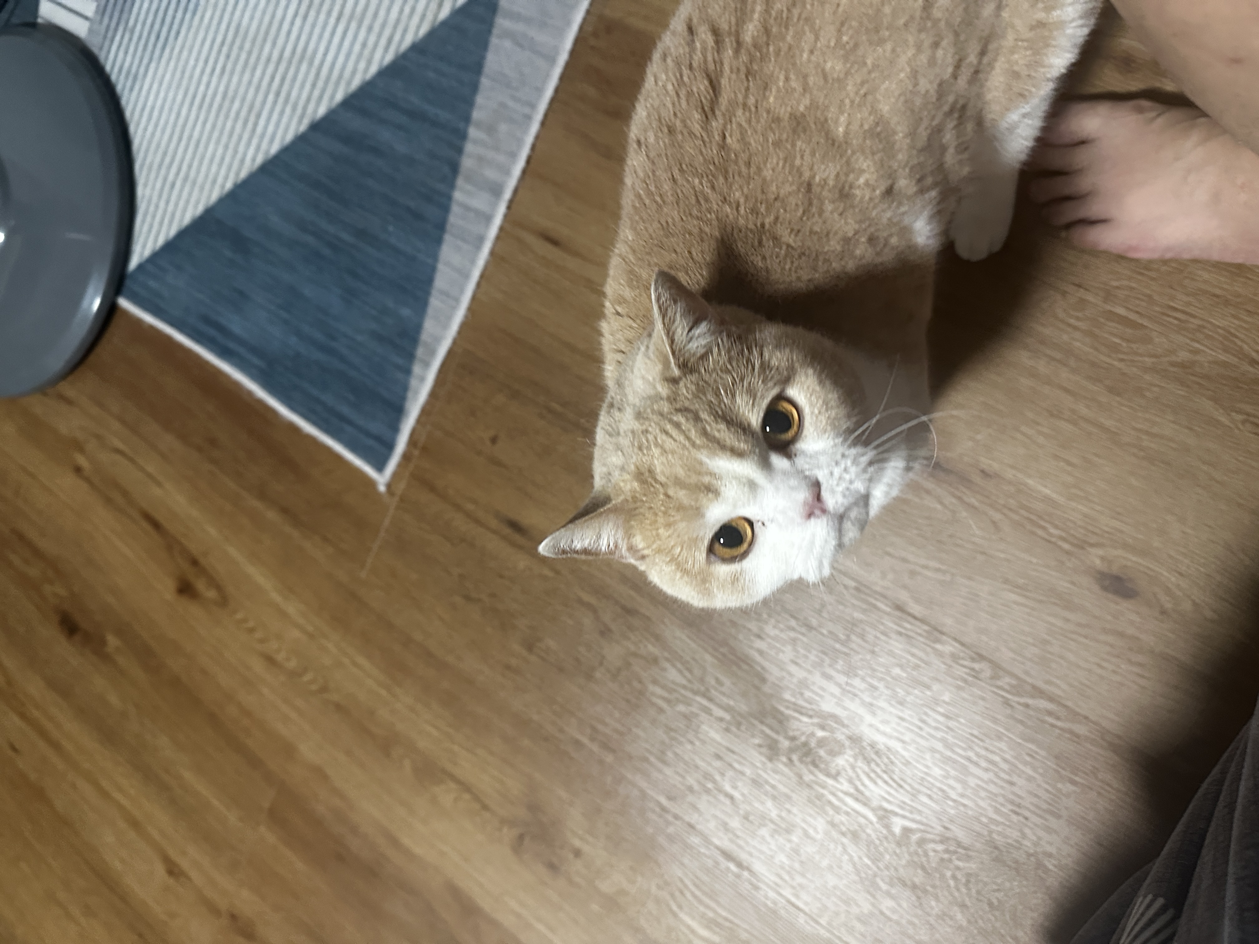image-7