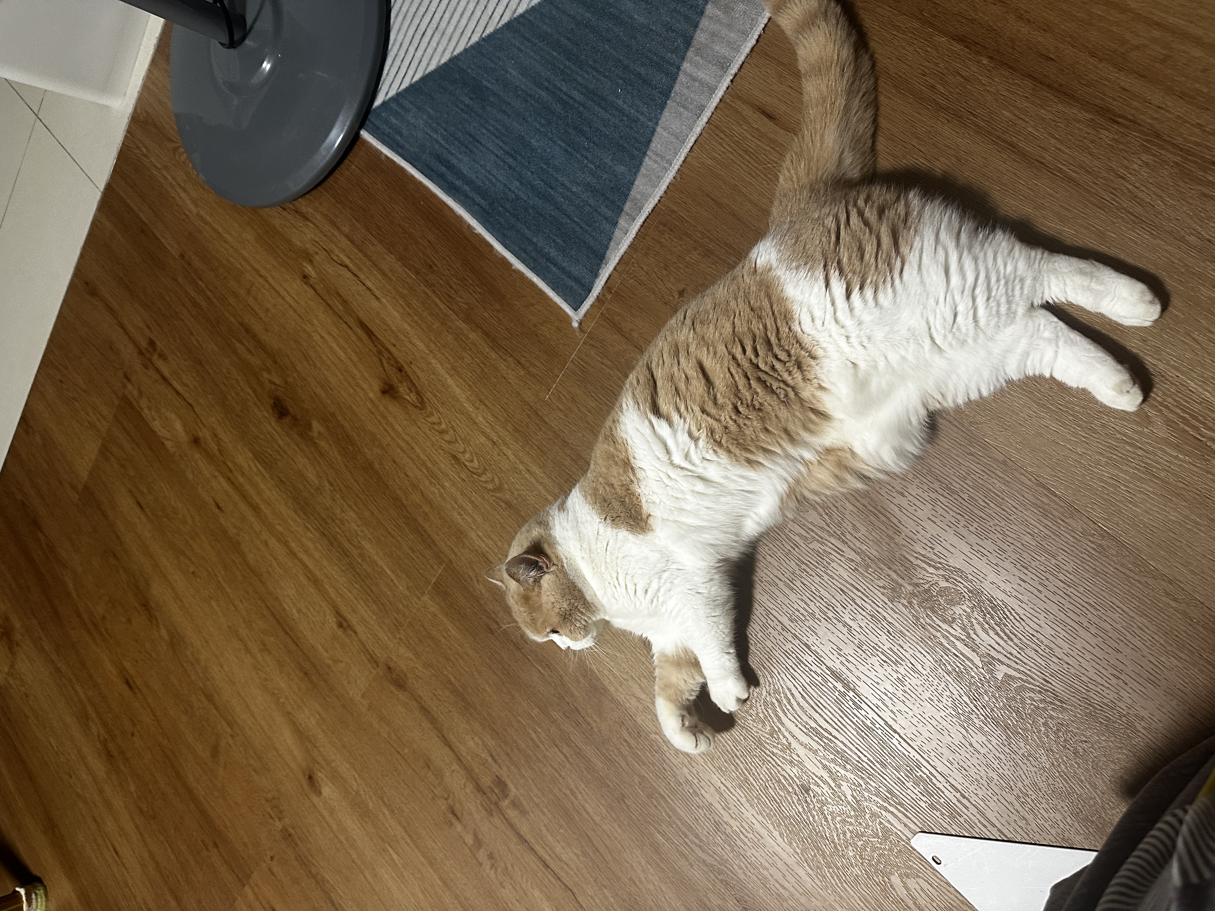 image-8