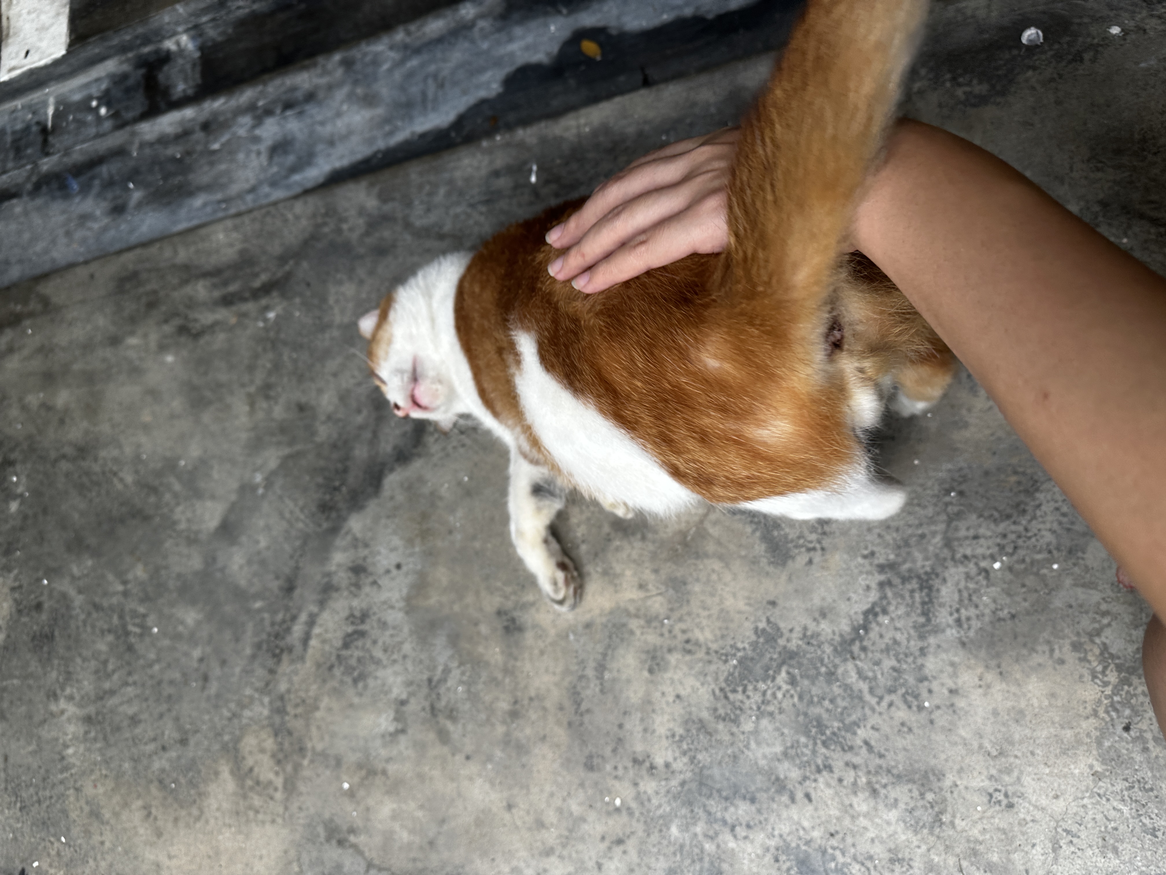 image-3