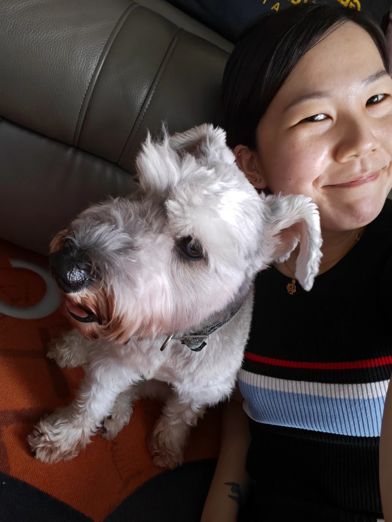 image-8