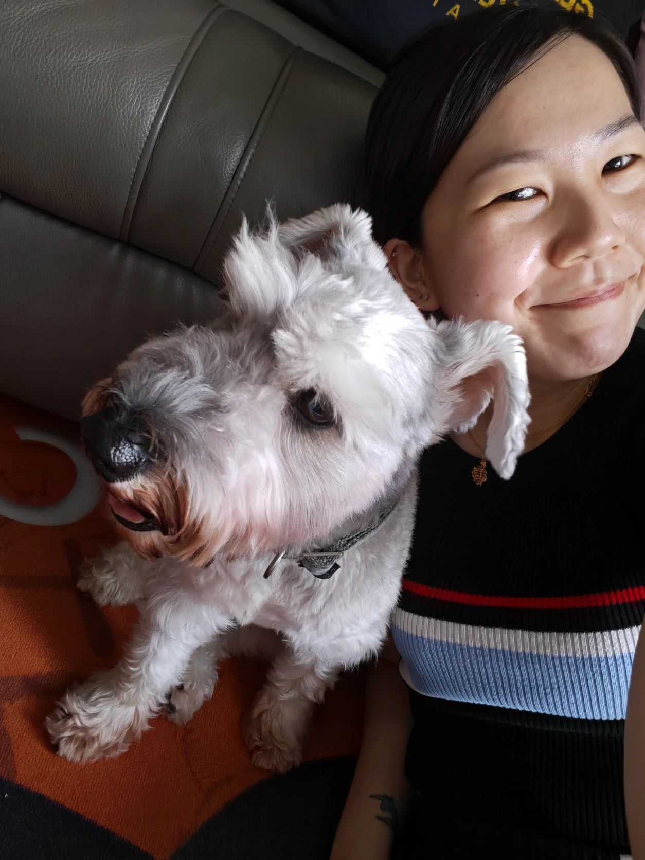 image-8