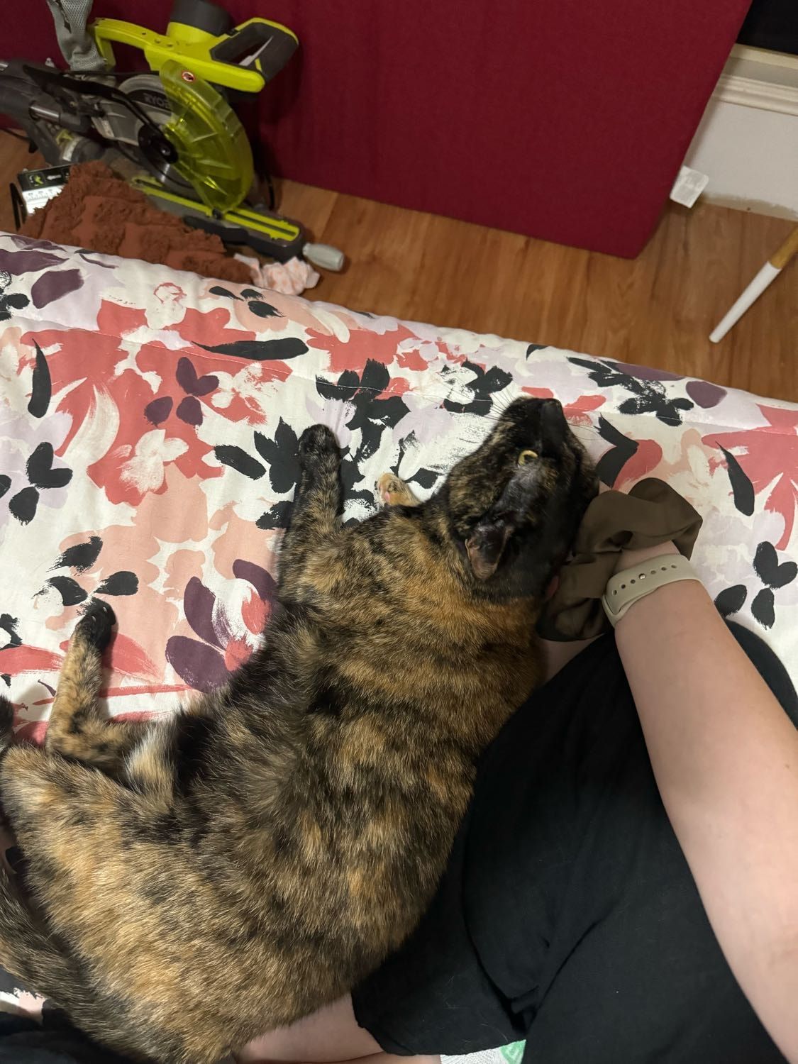 image-11