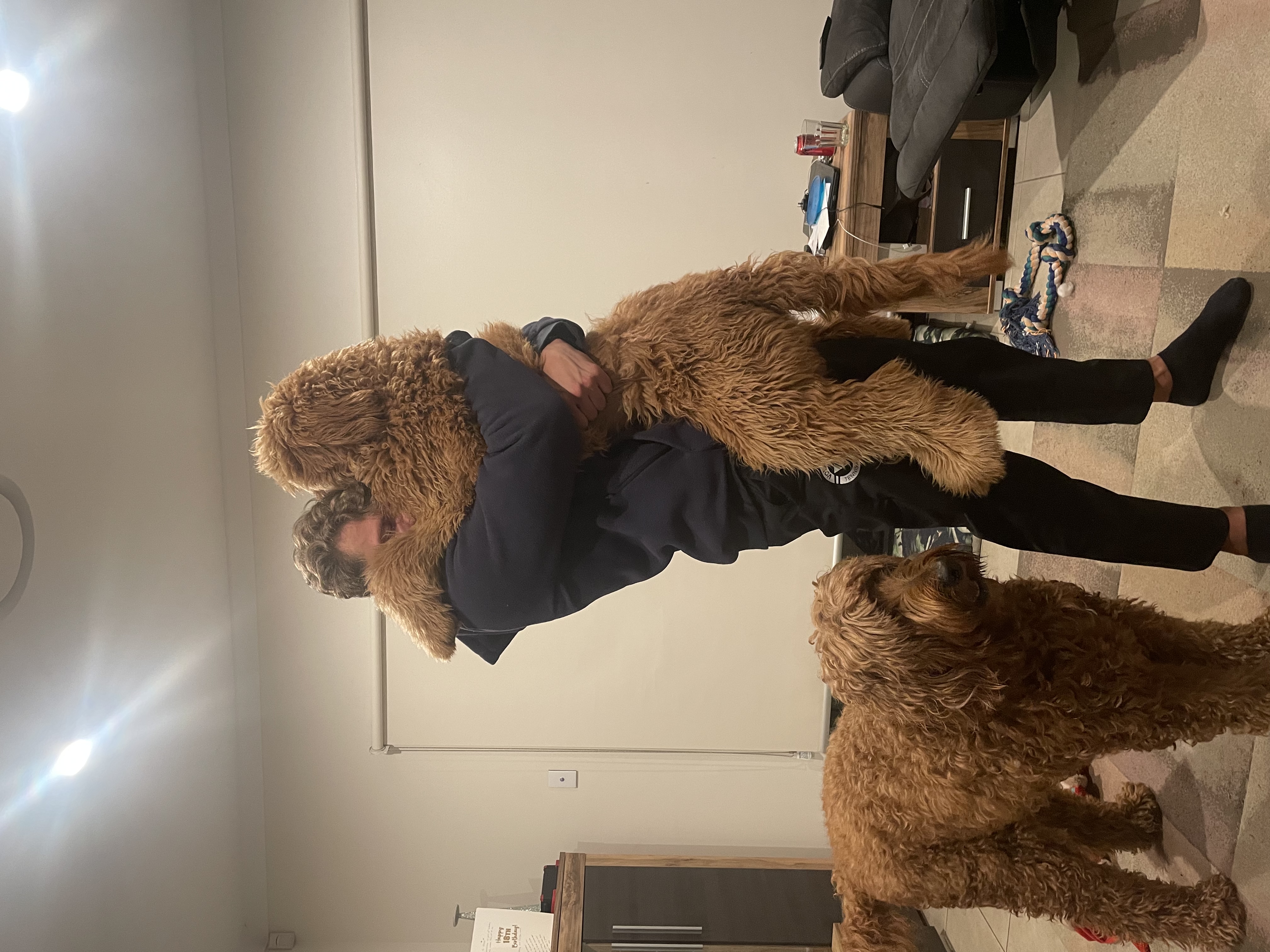 image-8