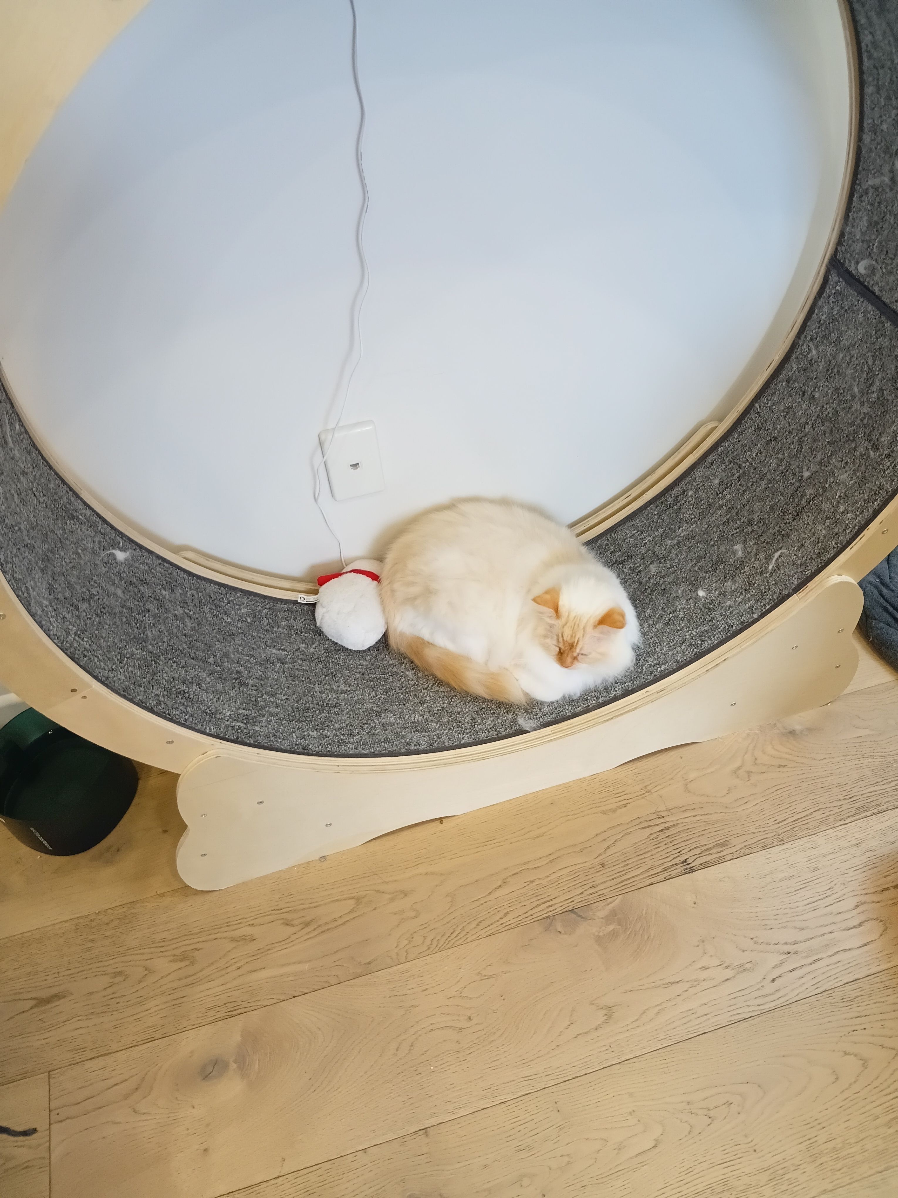 image-7