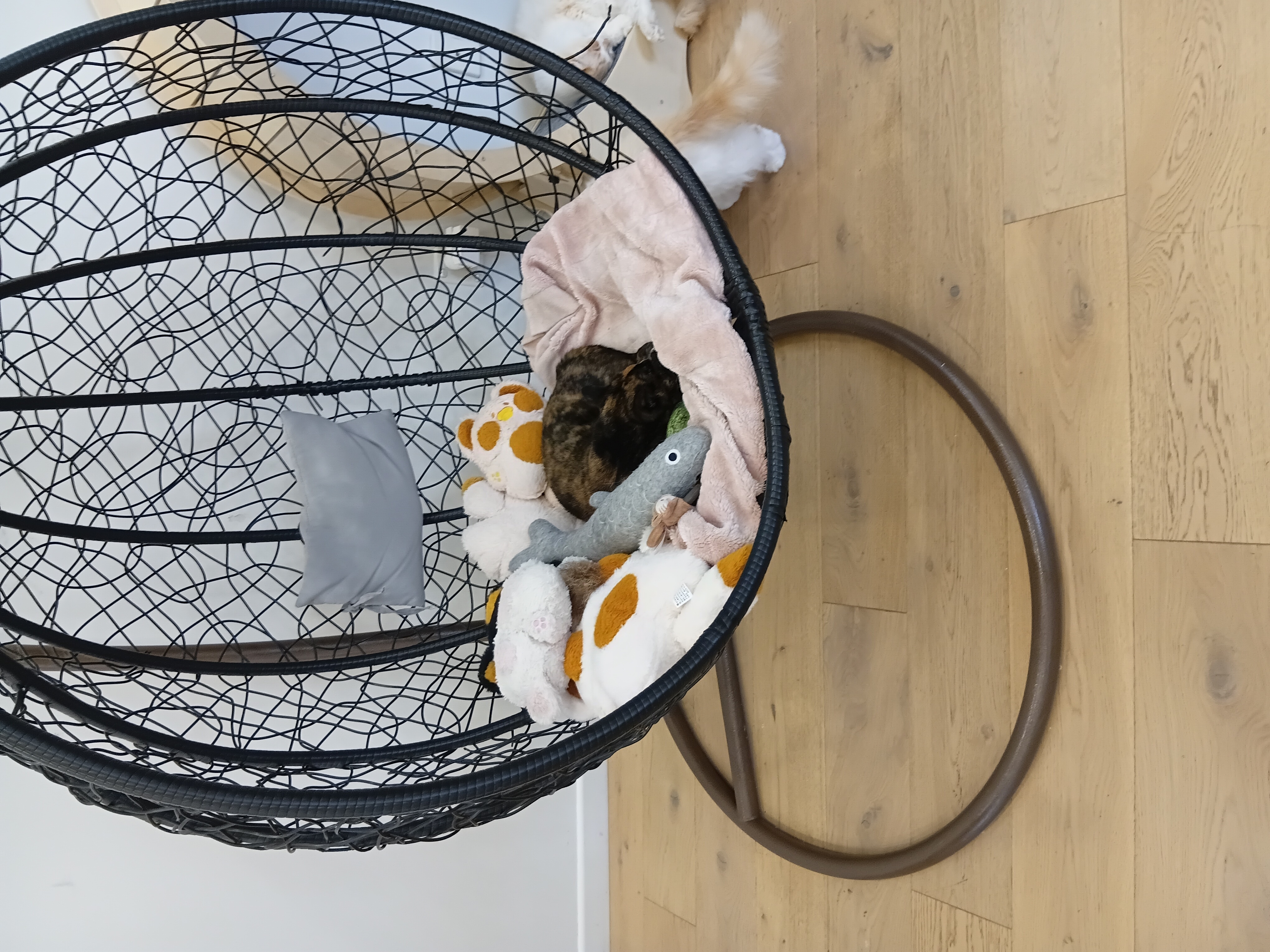 image-6