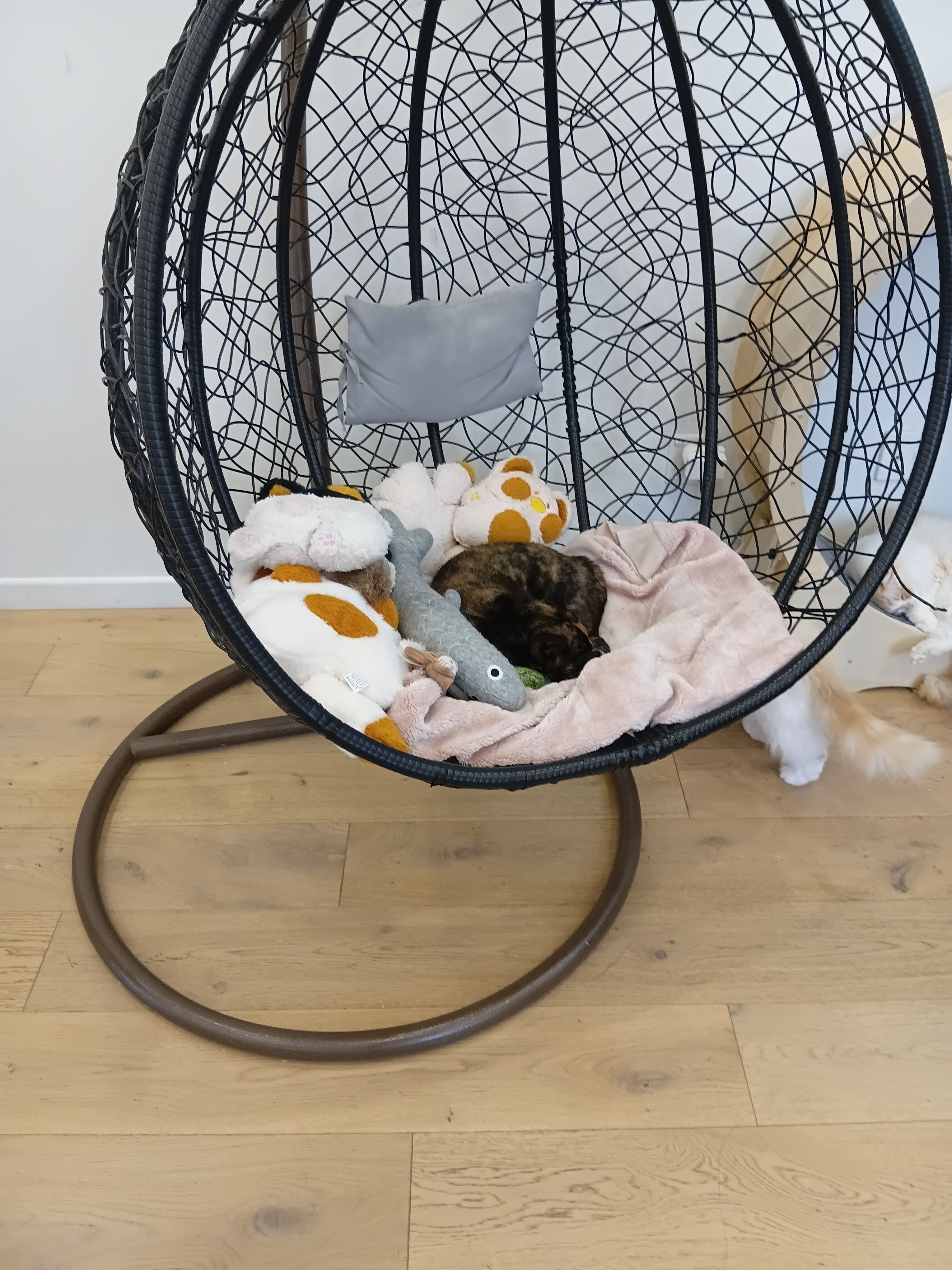 image-6
