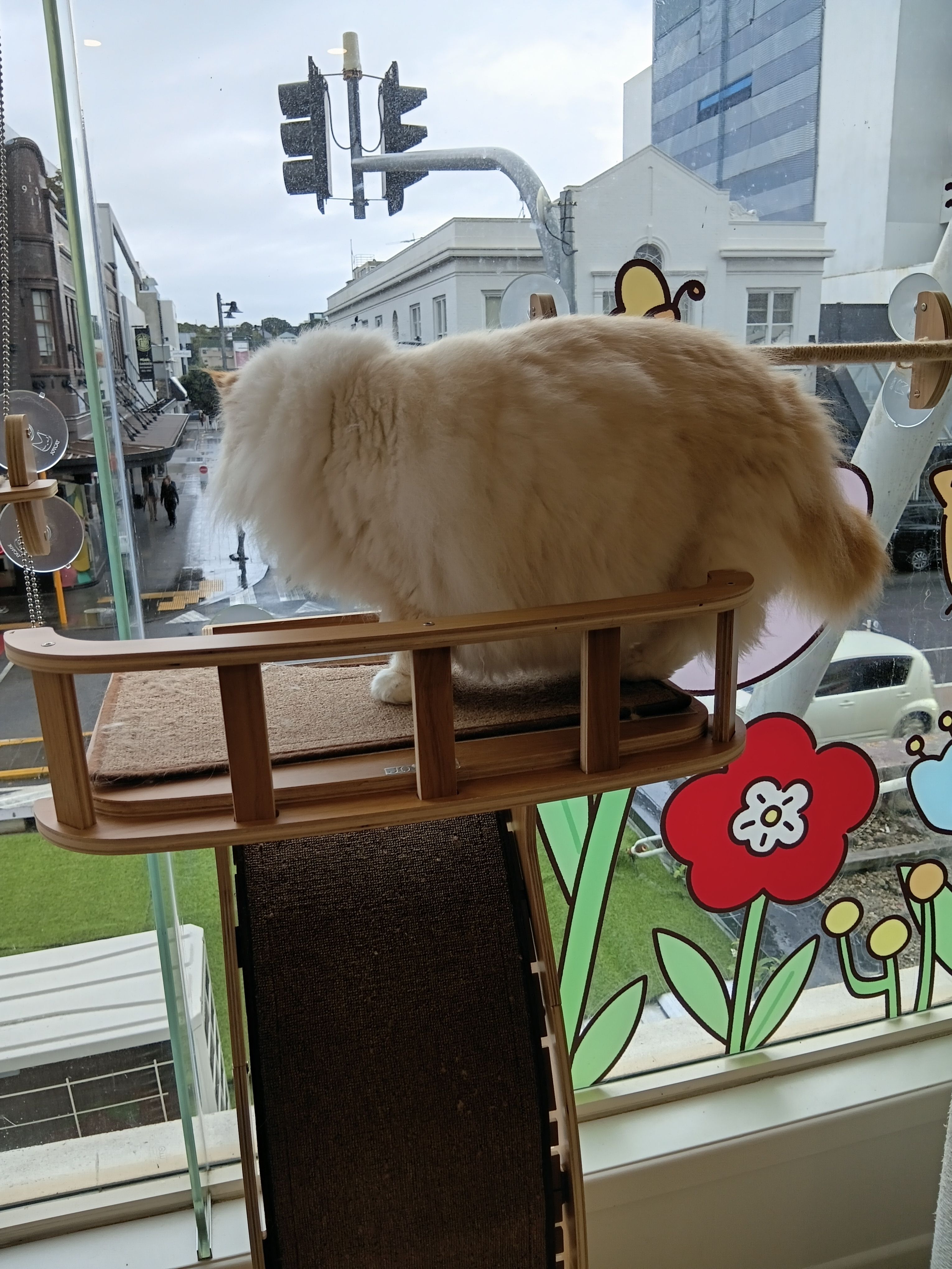 image-5