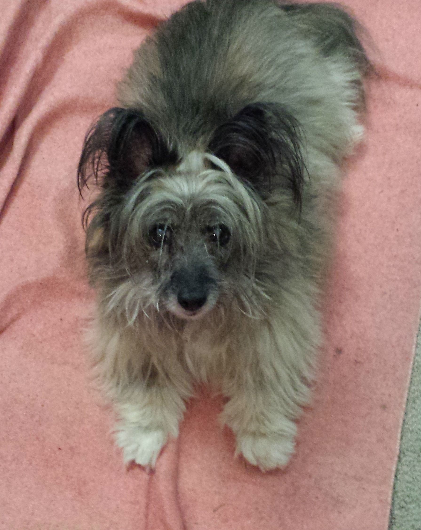 image-1