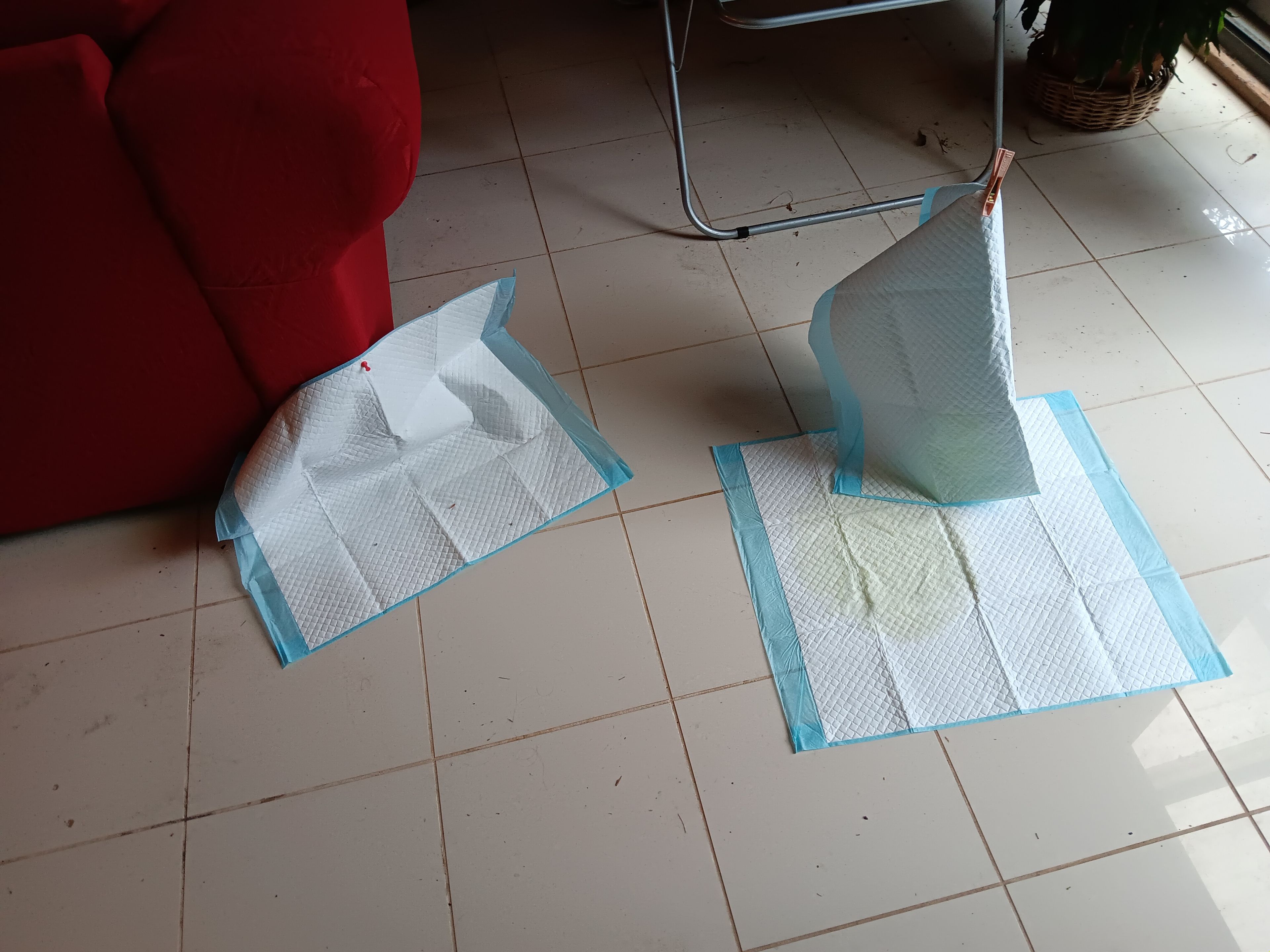 image-22