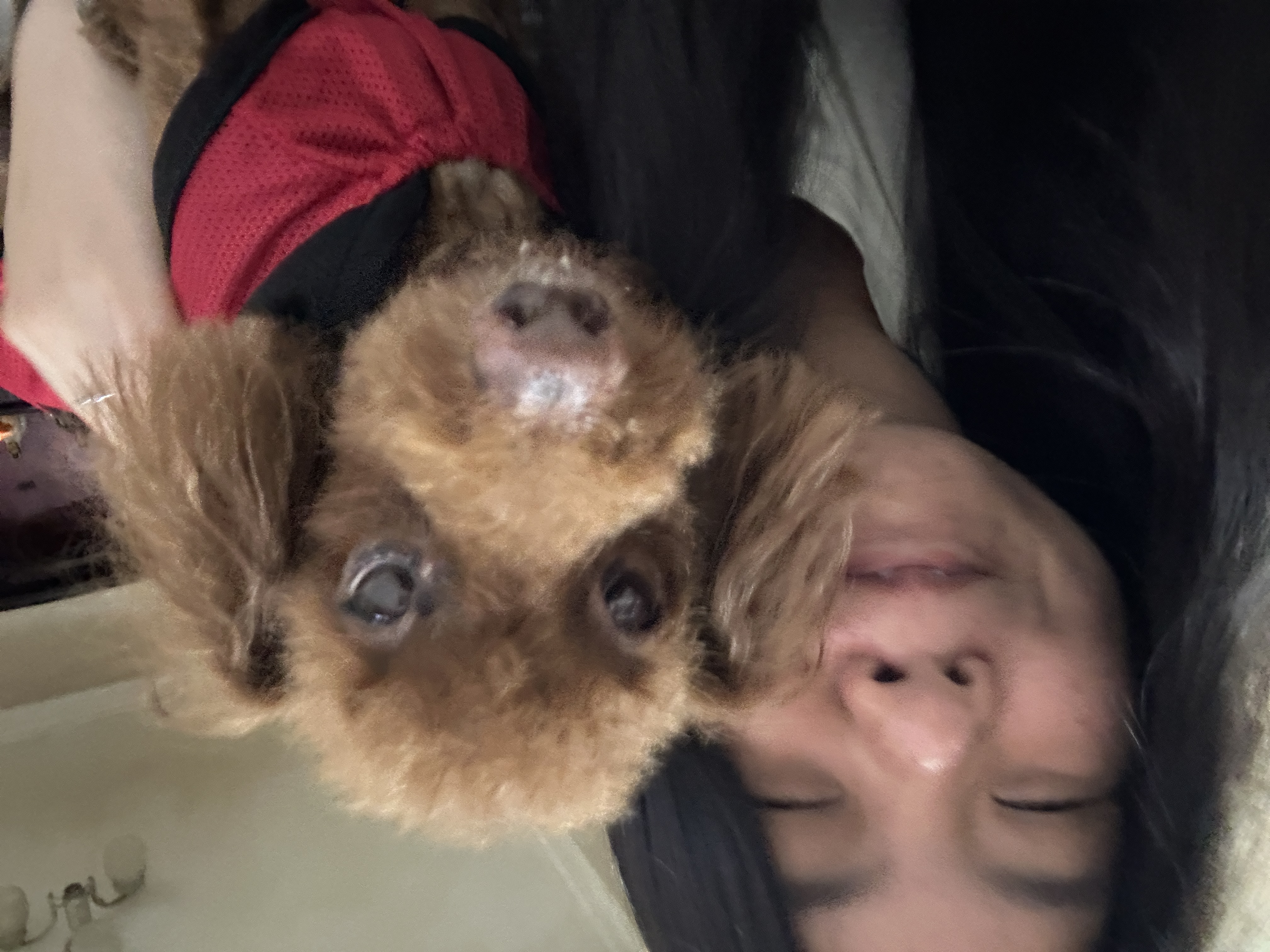 image-5